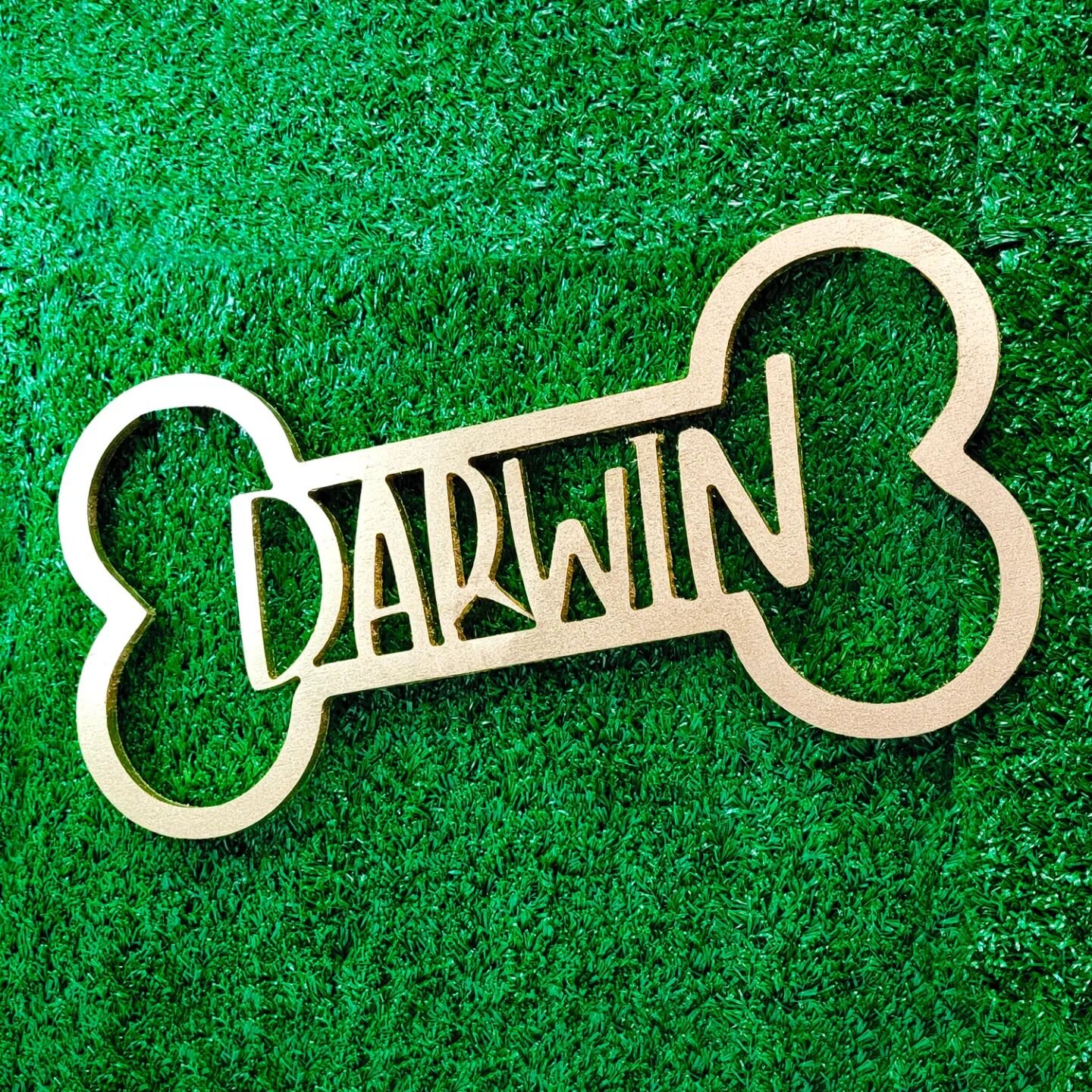 Oversized dog bone name tag decor - personalized name tag for your cuddly friends!

#dog #bone #pets #doggo #doglovers #doglover #bestfriend #pets #pet #petsofinstagram #cnc #woodworking #custom #gift #Christmas #toronto #gift #xmas #customized #cats
