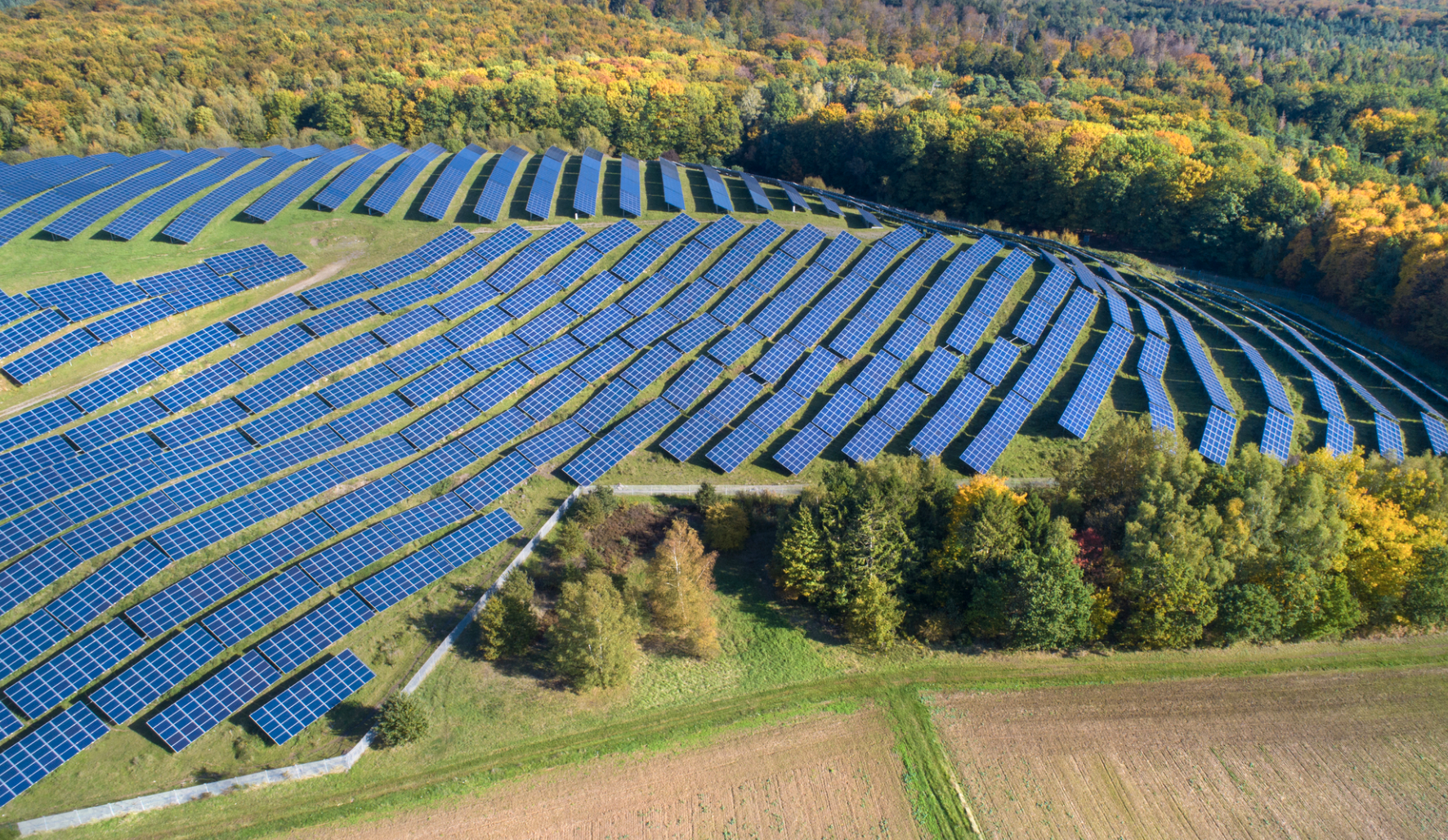 a solar field