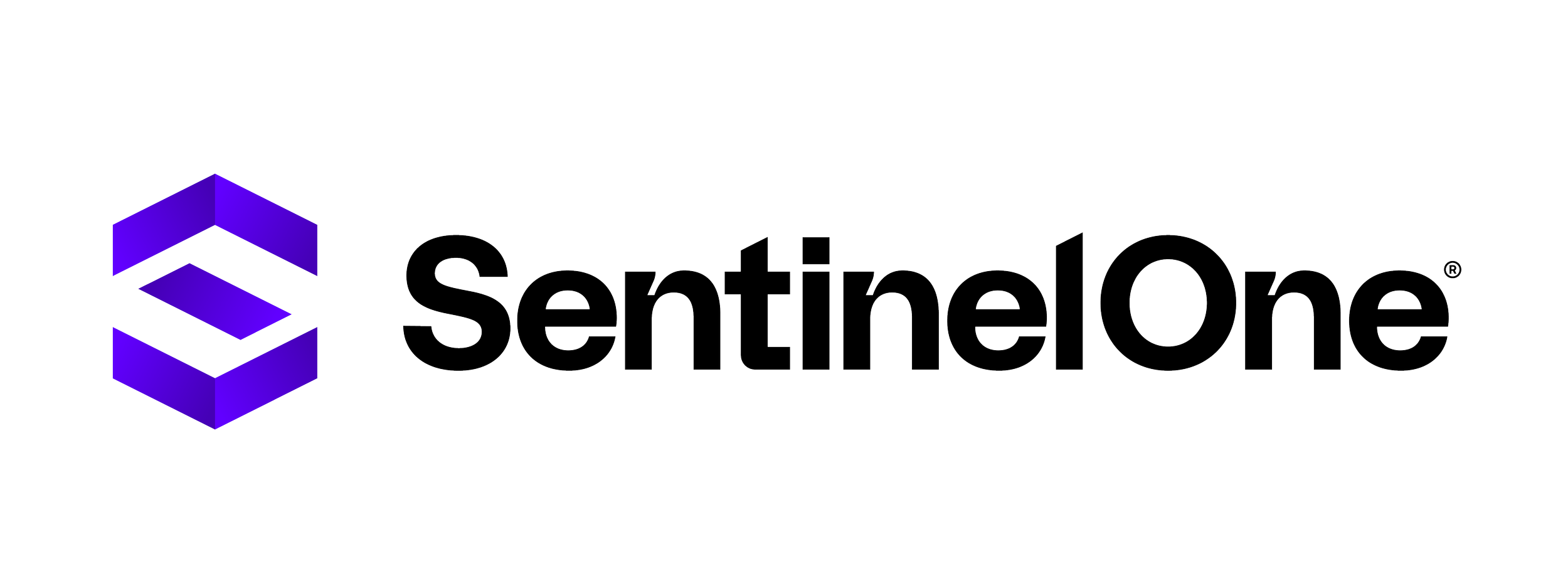 Paragus_24_Web Sponsors_Firehouse_Sentinel.png
