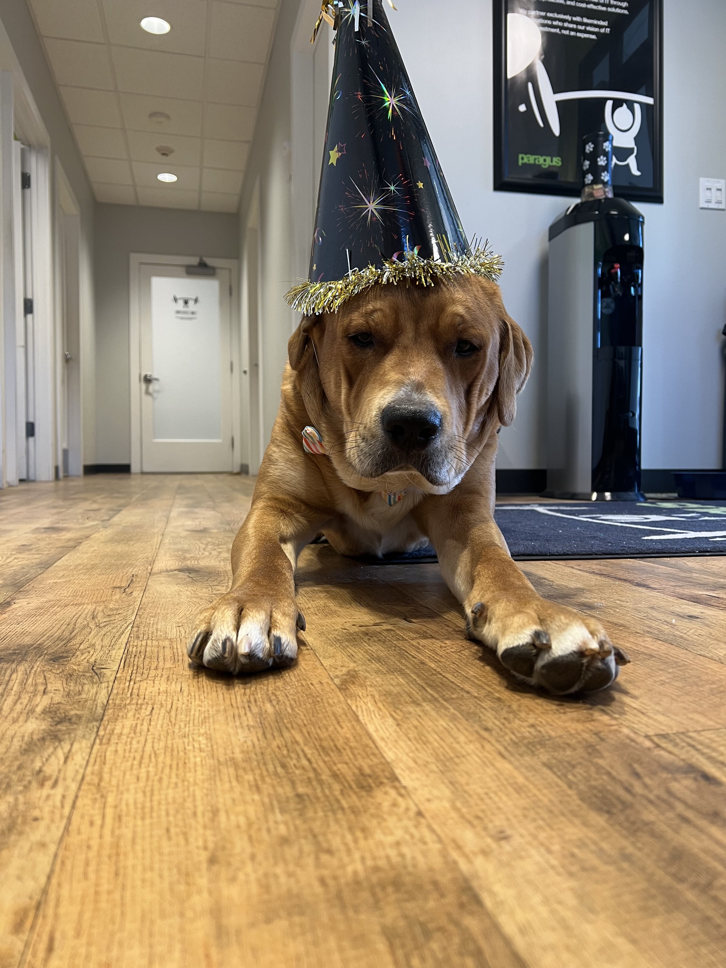 03402F08-C397-4337-B8D7-53D599B0A981.jpeg