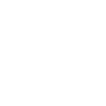 logo_prales_white_without_shadow.png