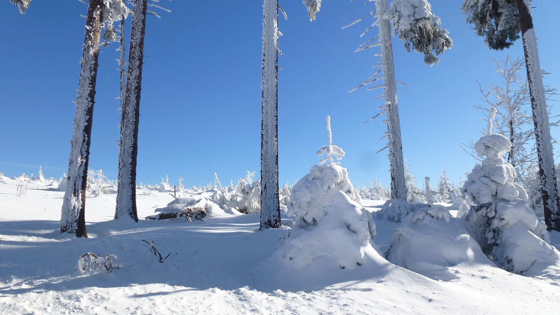 landscape-638446_1920.jpg