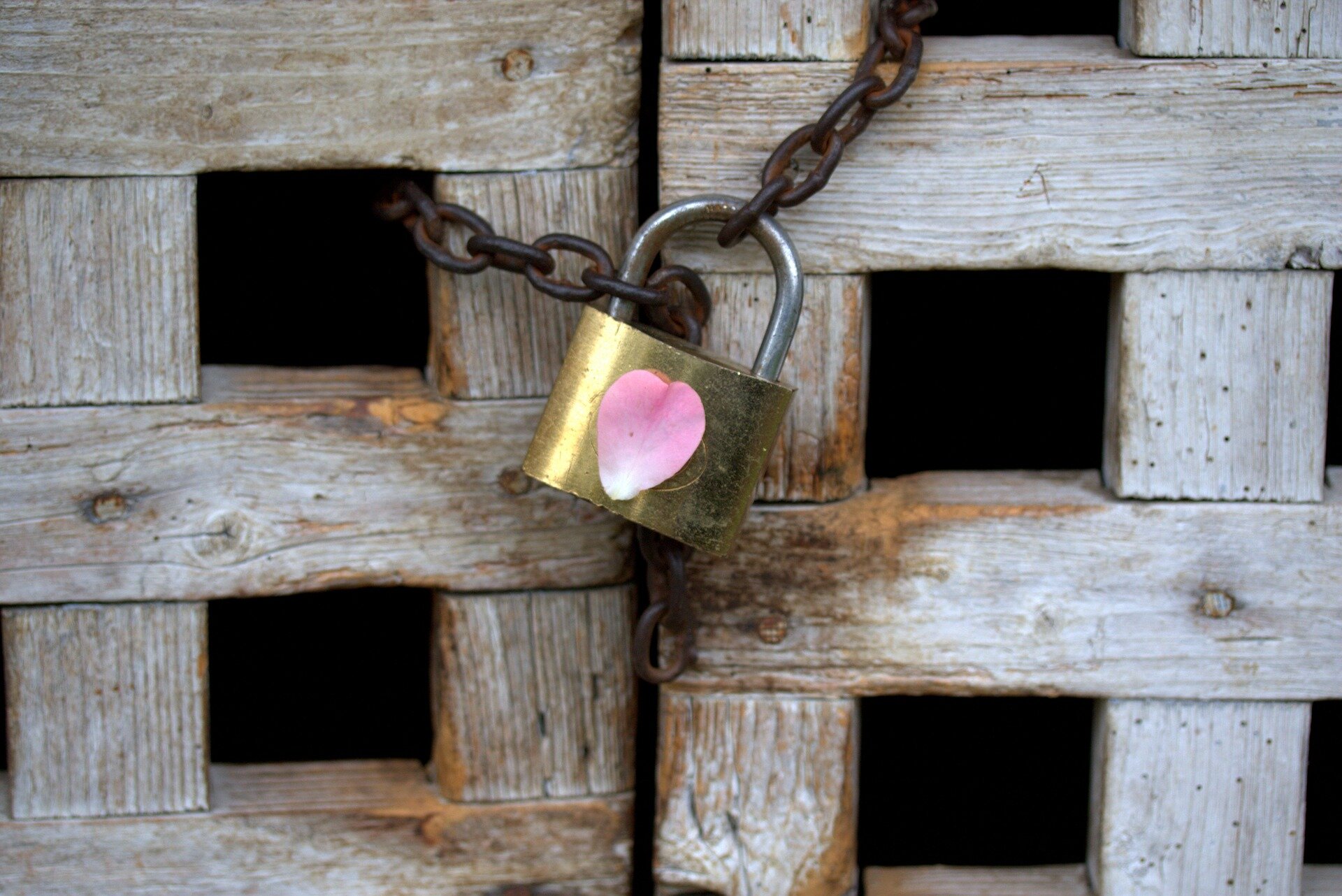 padlock-3769675_1920.jpg