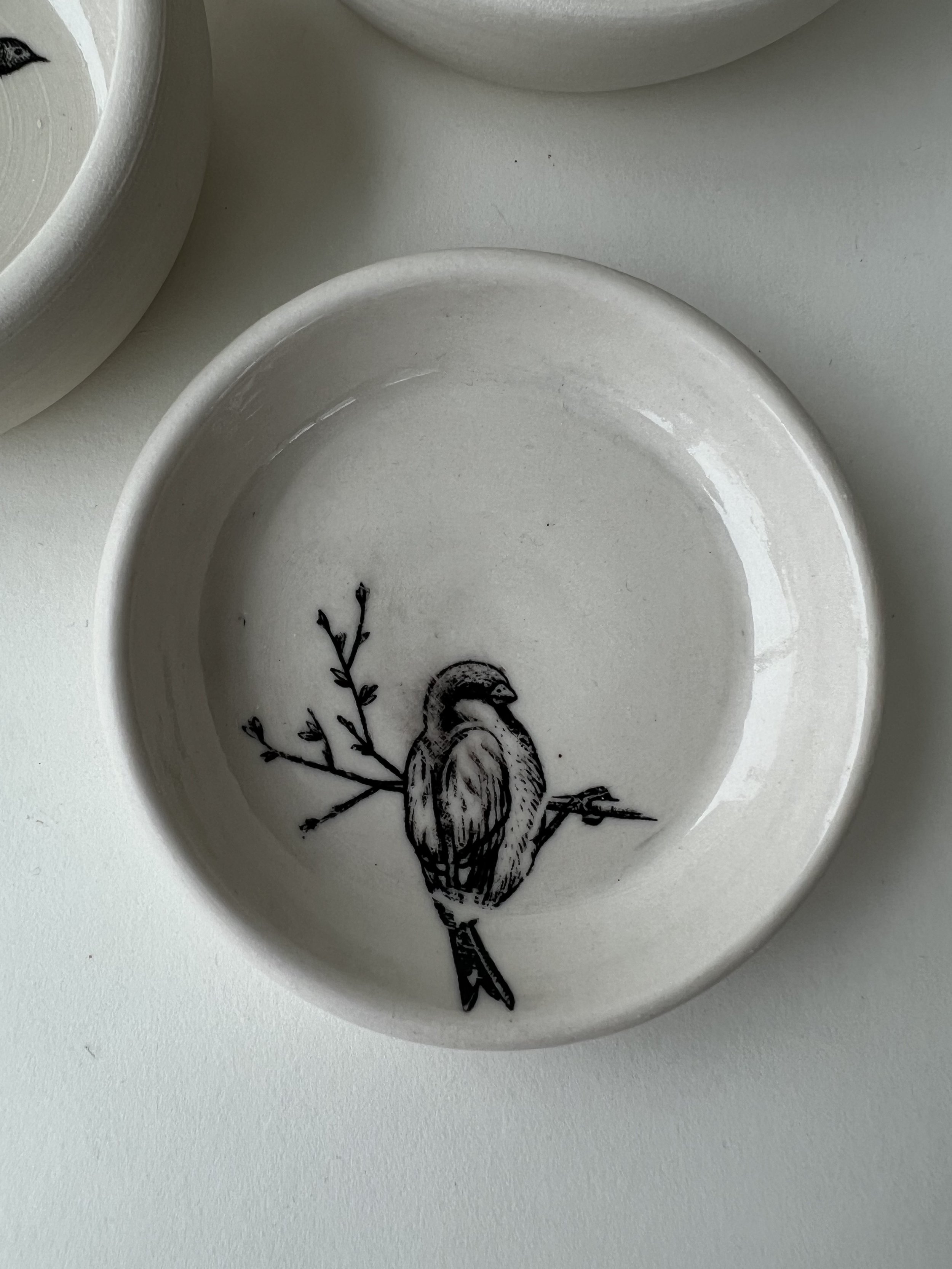 BirdDish_Solo_2.jpeg