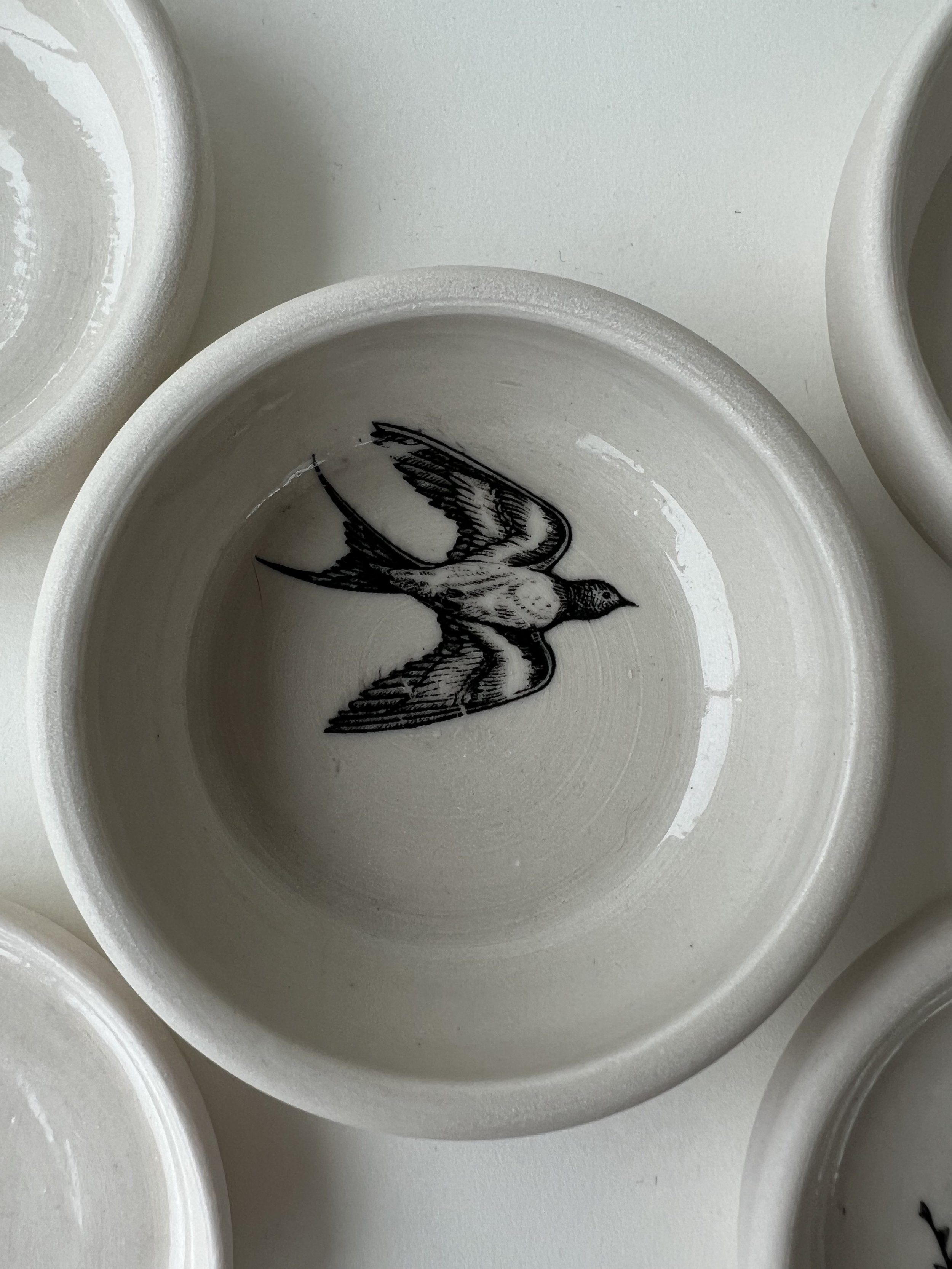 BirdDish_Solo_1.jpeg
