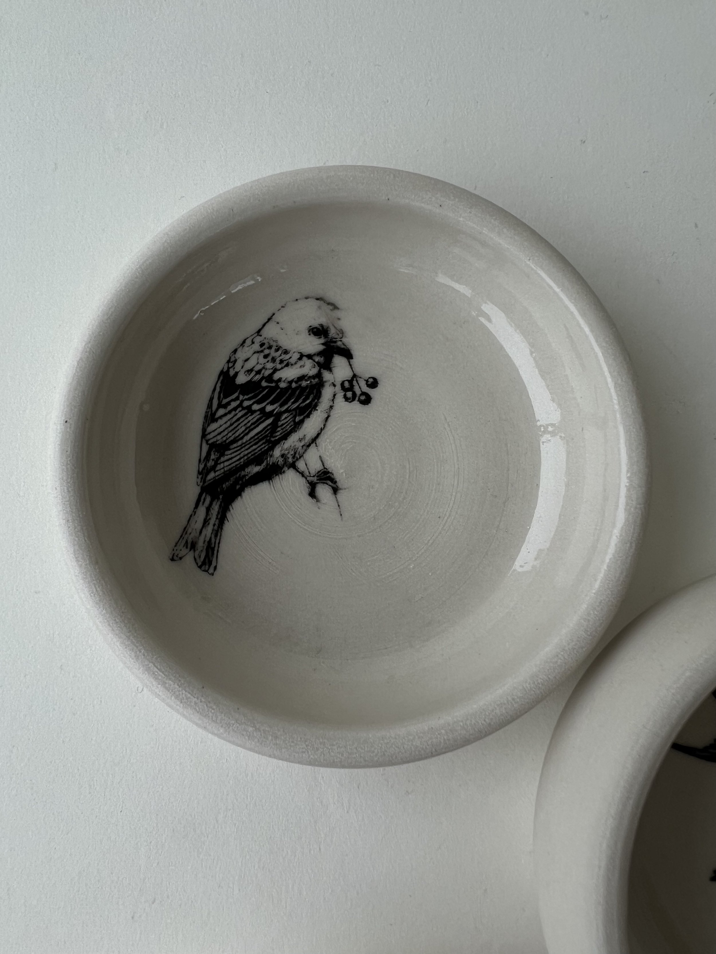 BirdDish_Solo_4.jpeg