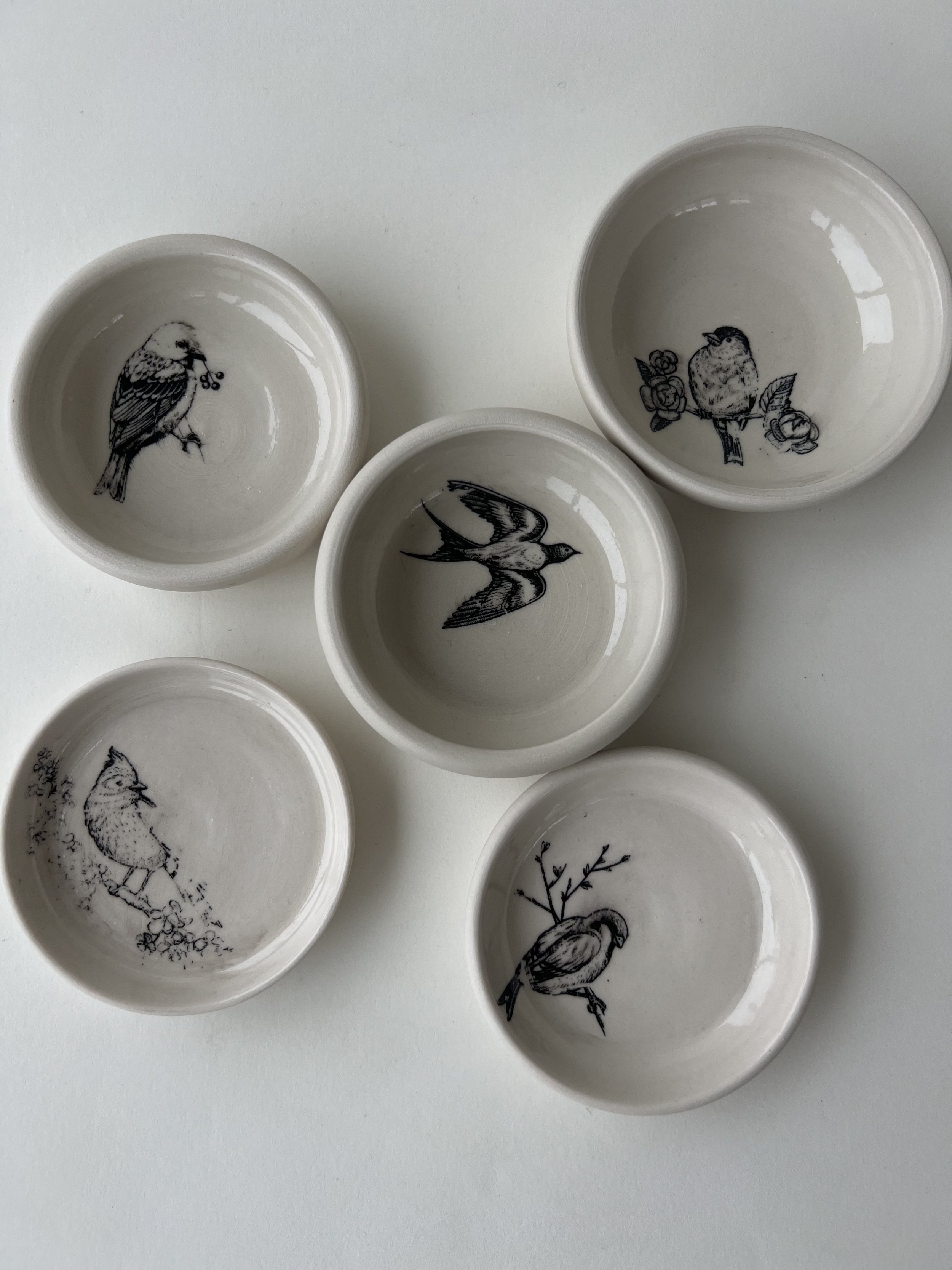 BirdDish_Set_1.jpeg