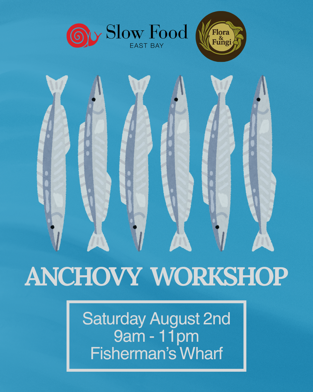 August 2nd, 2025: Anchovy Workshop