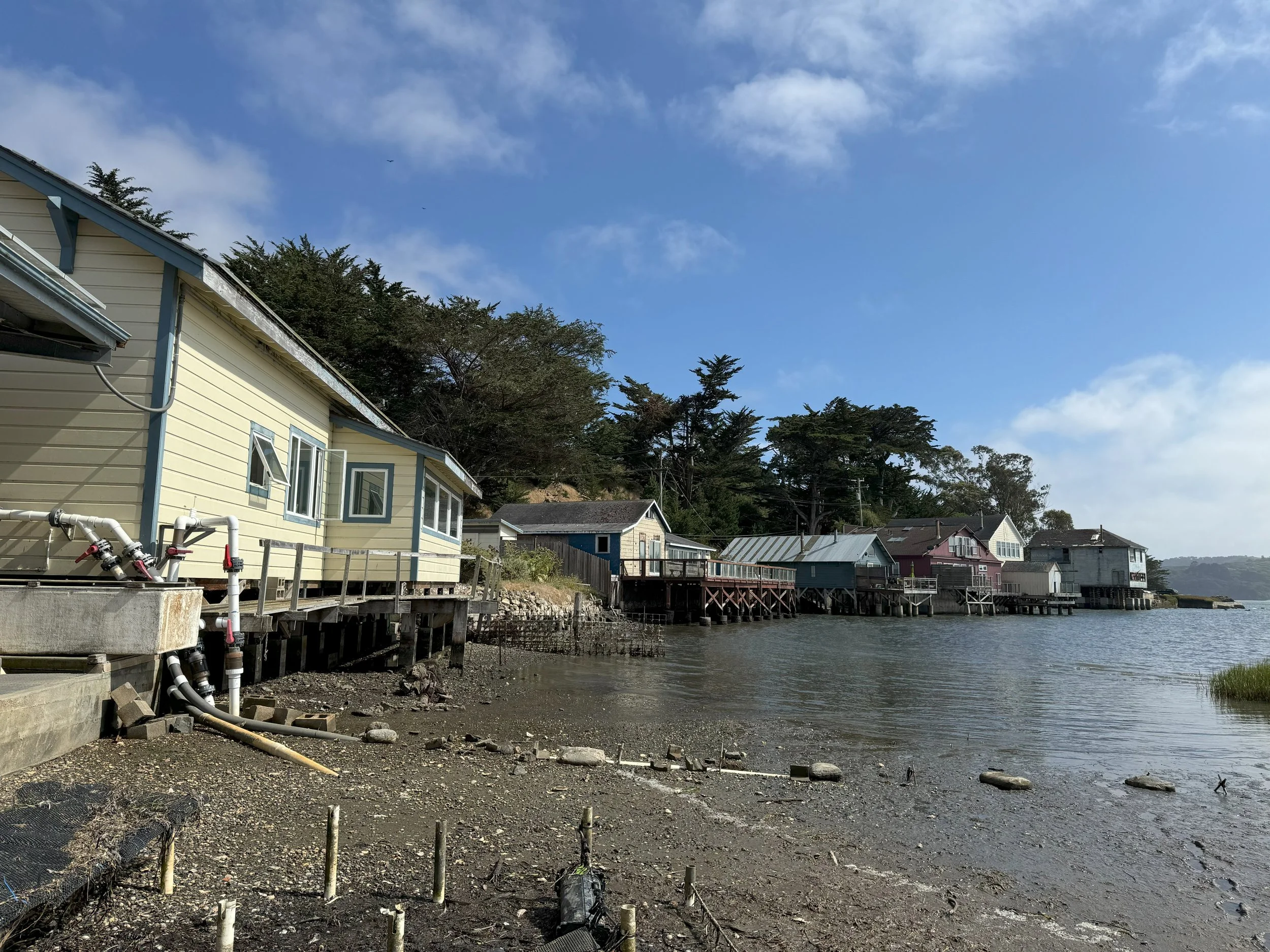 IMG_0530.jpeg