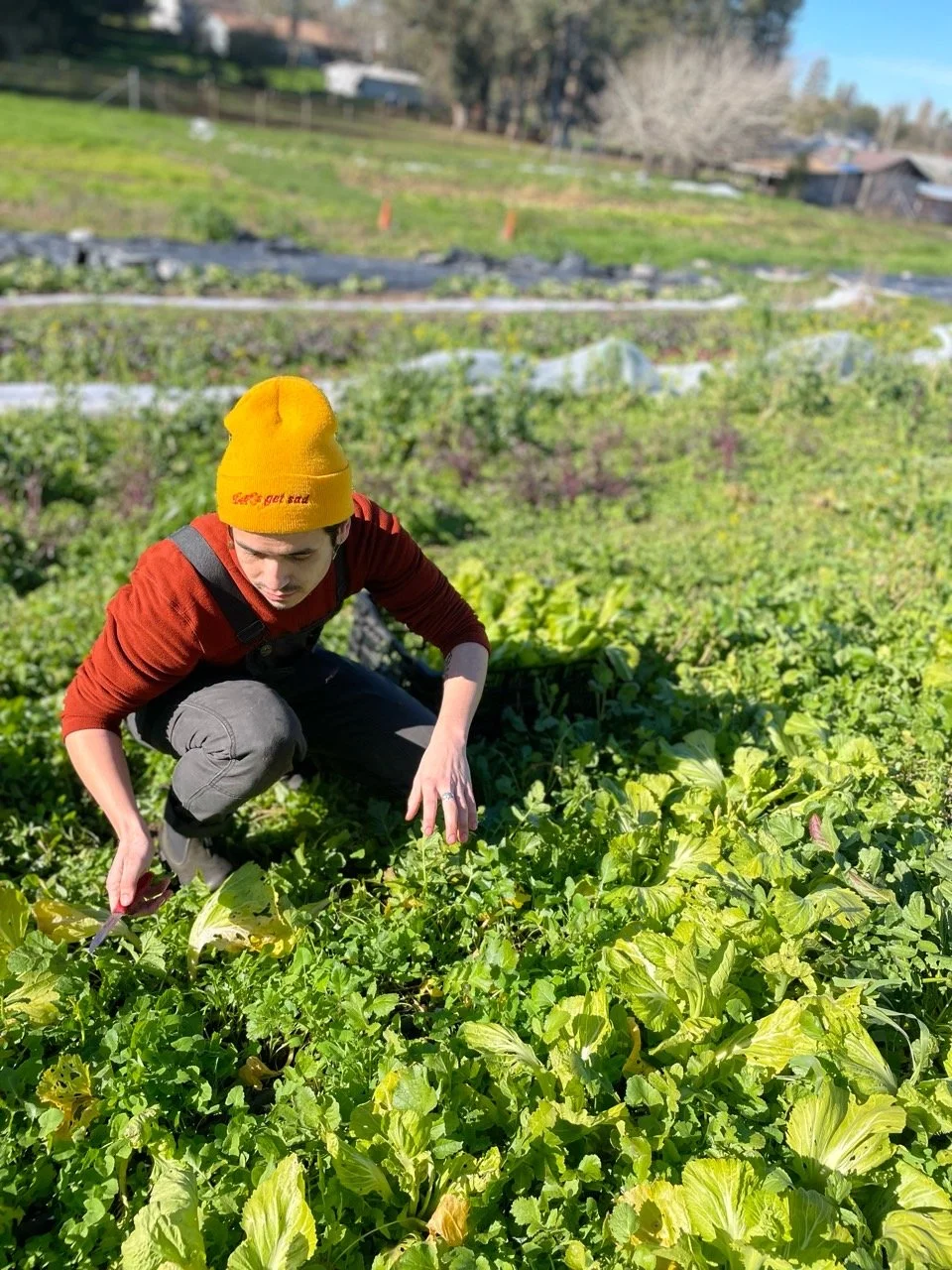 1C35C5F8-02AE-48B1-96B5-47FE7B66714F - Lance Mendes.jpeg