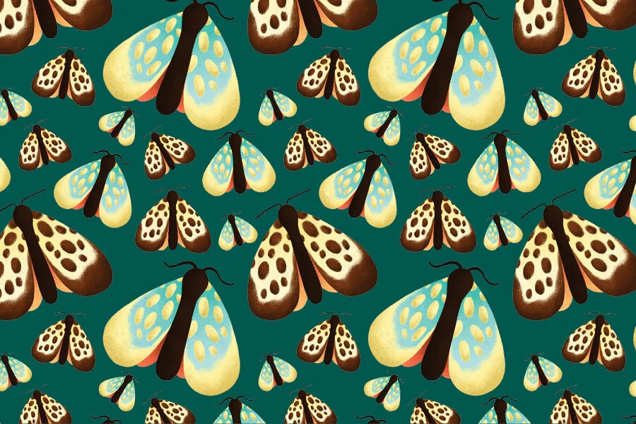 Richardson_Thesis_Moth Shorts Pattern 2 Postcard.jpg