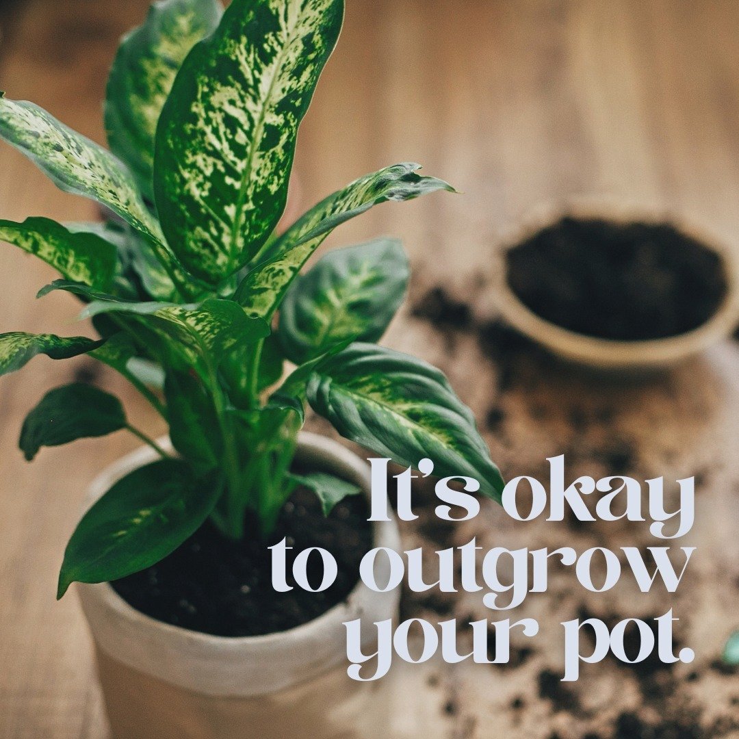 Feeling confined in your current circumstances? Similar to plants, humans require the proper environment to thrive. If you're not flourishing, it could be time to consider a larger pot. 🌱 🪴 ✨

DISCLAIMER: #instagram is not a substitute for therapy 
