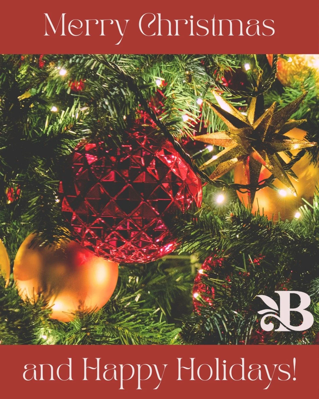 Happy Holidays to you from us here at Bloom Wellness! Whatever you are celebrating, find joy where you are, spread love to all around you, and let&rsquo;s wrap up our year with gratitude. Take the time to just be!

DISCLAIMER: #socialmedia is not psy