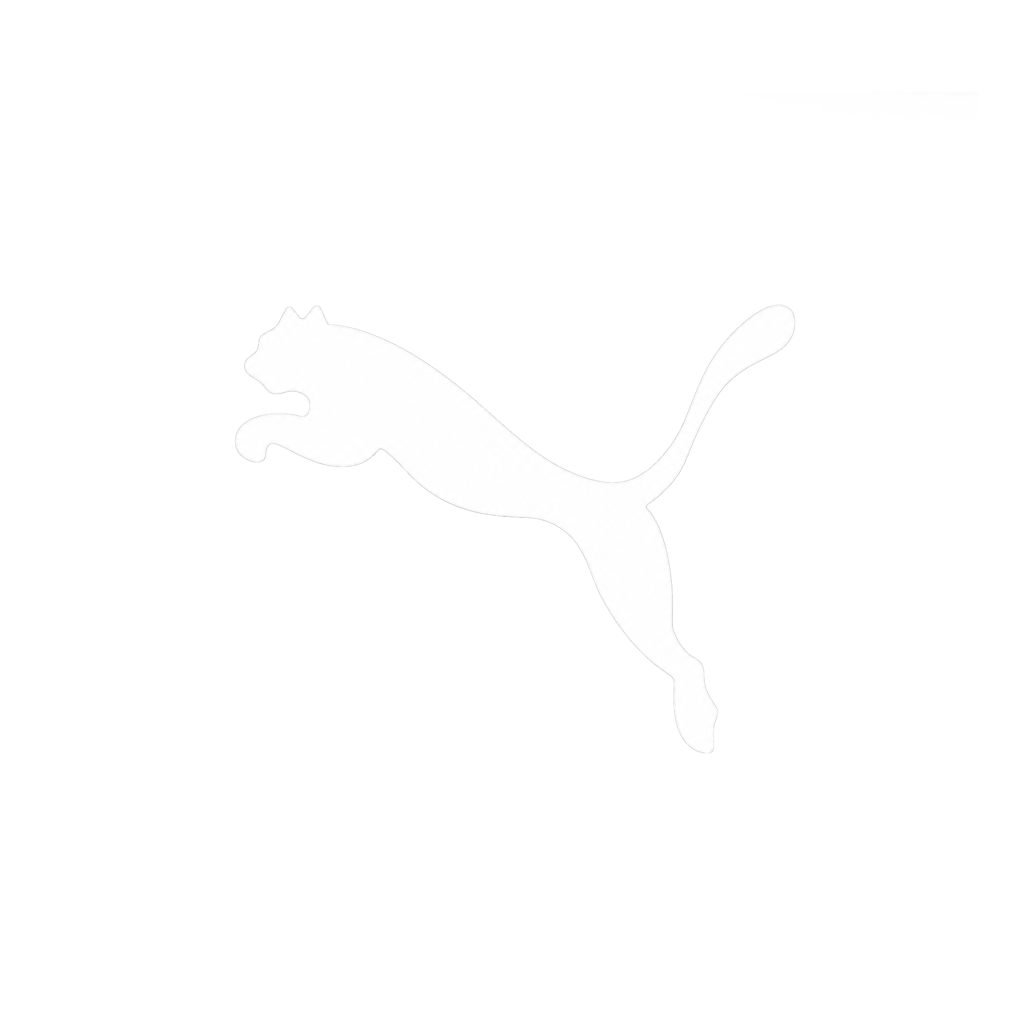 Puma.png