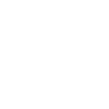HOX logo.png