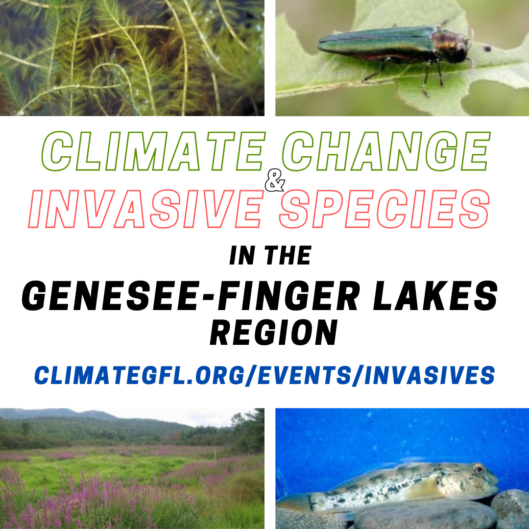 Invasive Species & Climate Change: How a Warming World Helps Our Worst ...