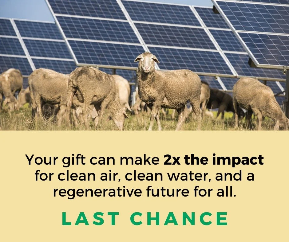 💡 We are the ones we&rsquo;ve been waiting for. And right now, your gift can make 2x the impact for clean air, clean water, and a regenerative future for all. 🌱

Don&rsquo;t wait&mdash;this matching opportunity is for Climate Week only! Together, w