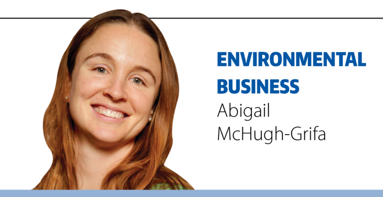 Recognizing and resisting internalized capitalism | Environmental Business