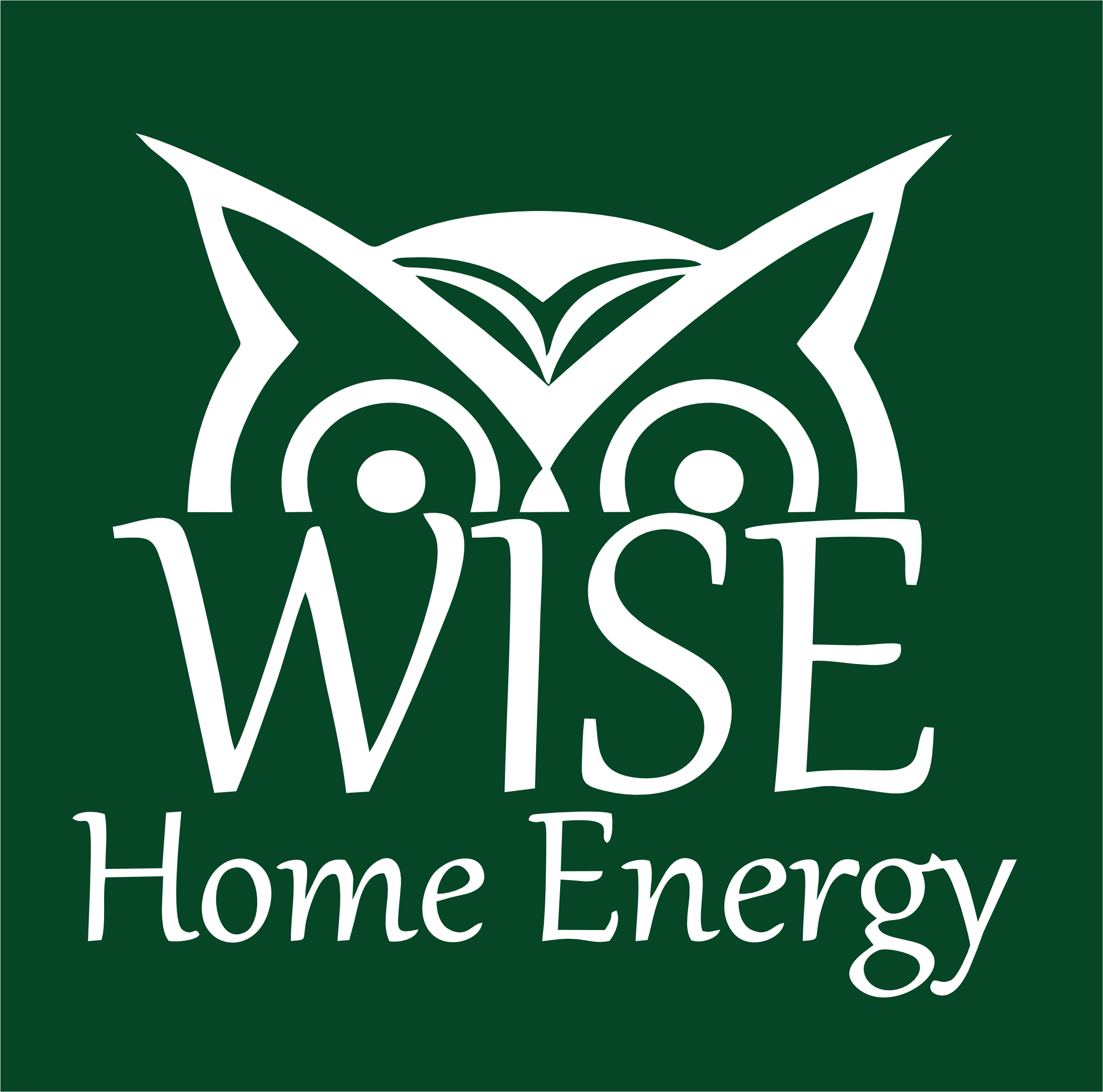Wise Energy Logo Green High Res.png