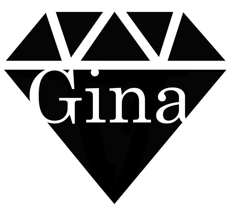 Gina Jewelry International