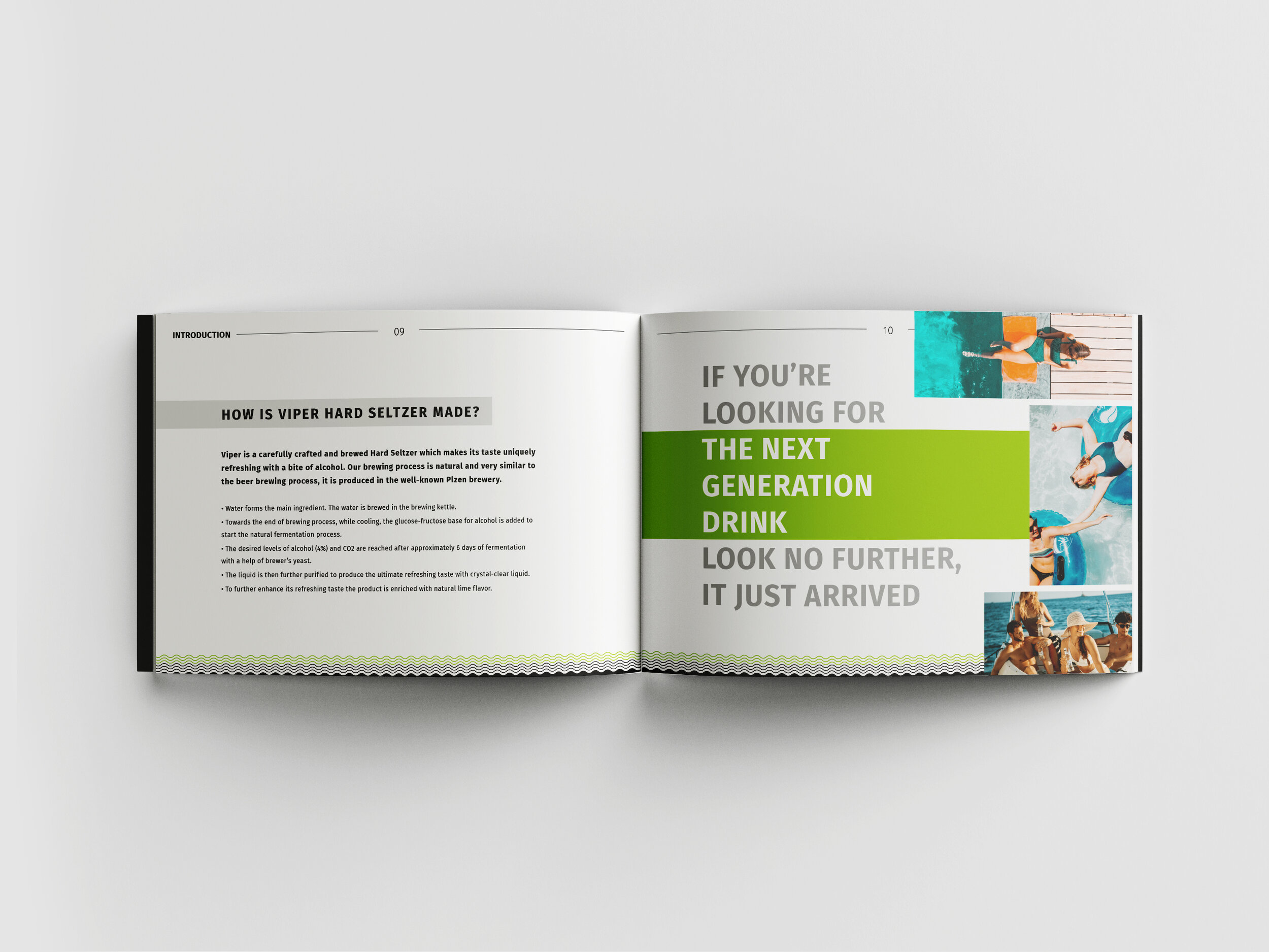 Viper_brandbook_Mockup_v1.jpg