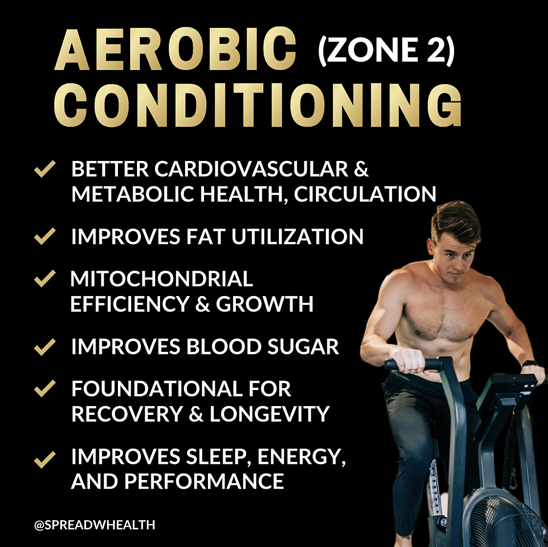 Aerobic vs. Anaerobic Exercise: Which is Better?