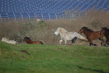 Solar Alliance to build 56MW project for data center in Illinois