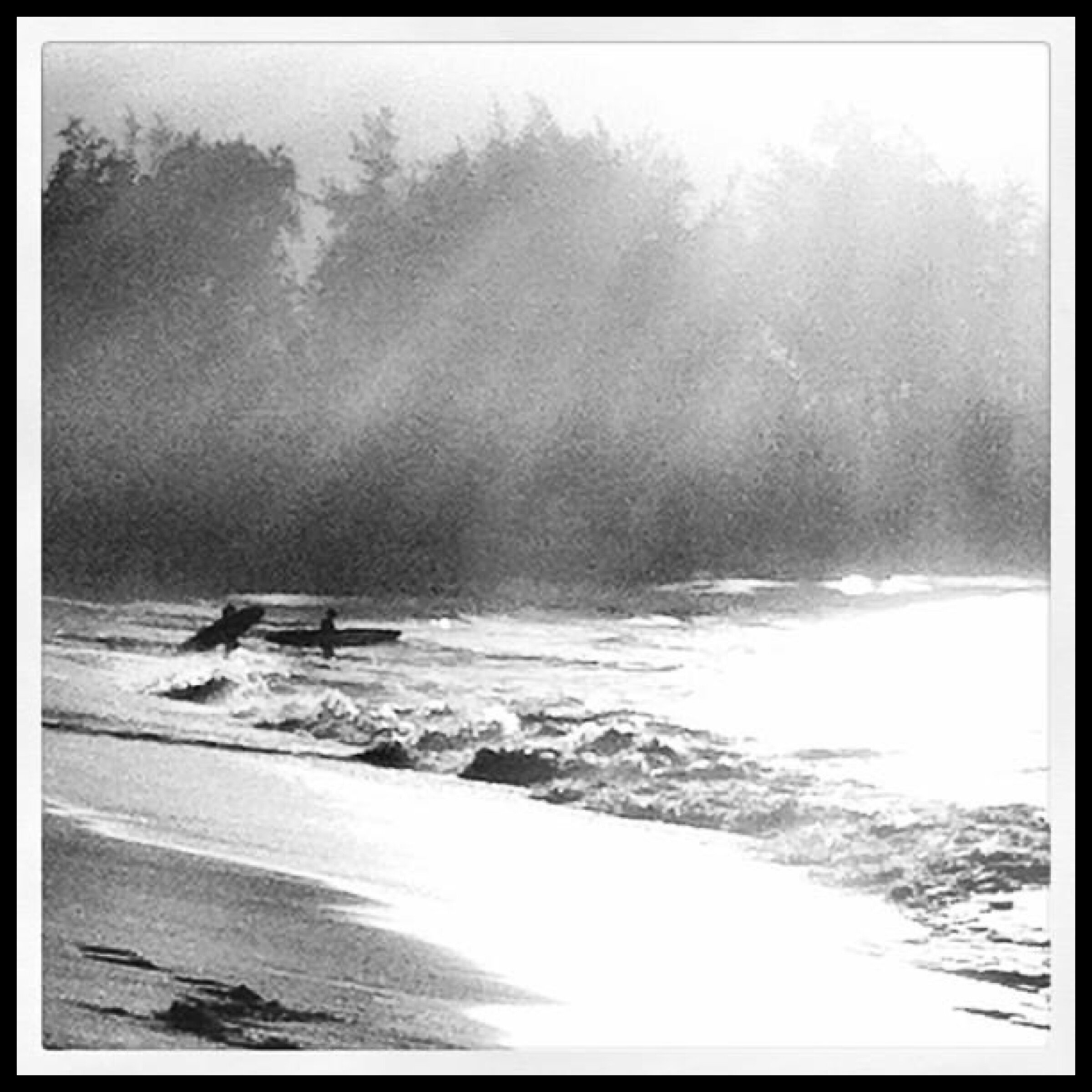 Maui surf