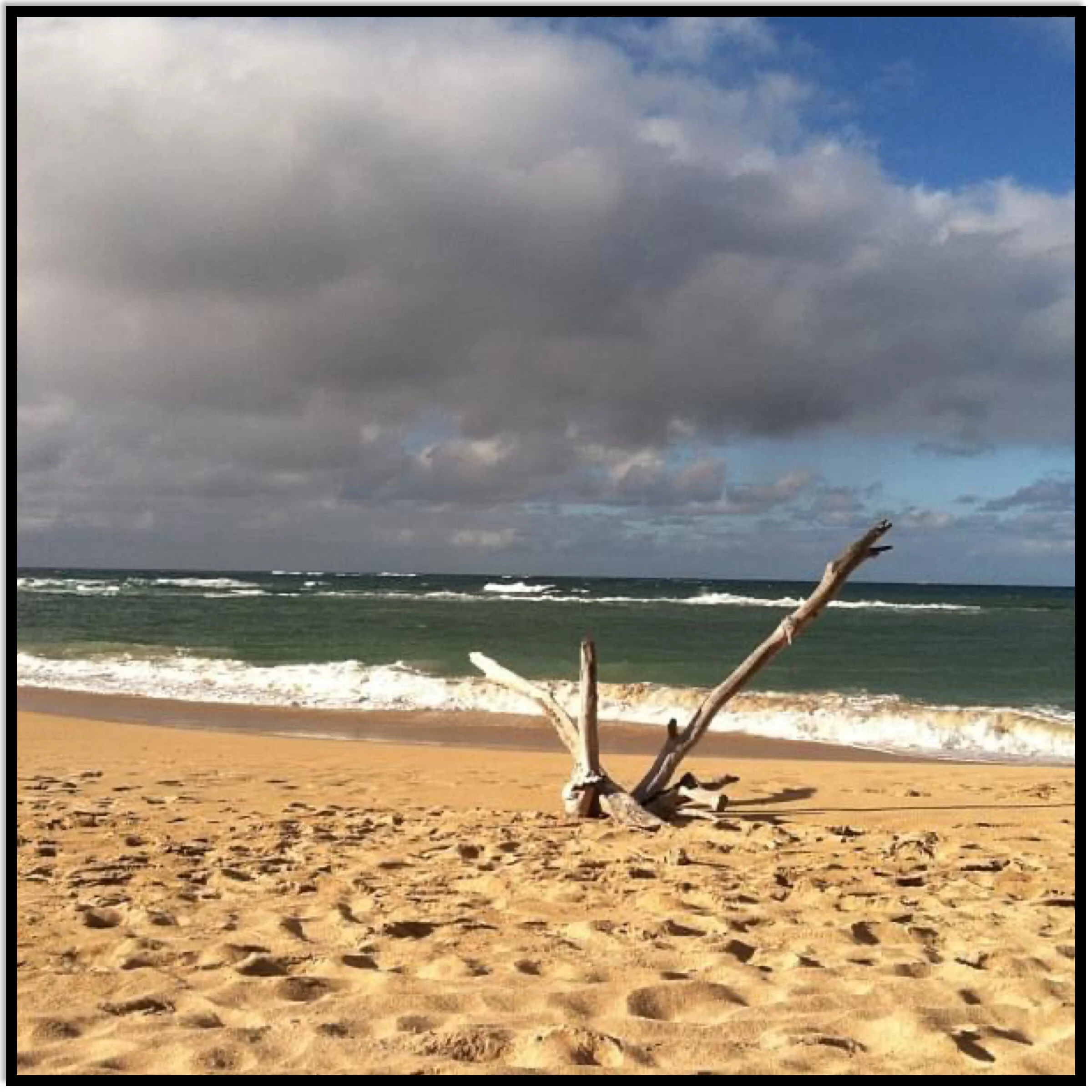 Late afternoon beach time (Maui)