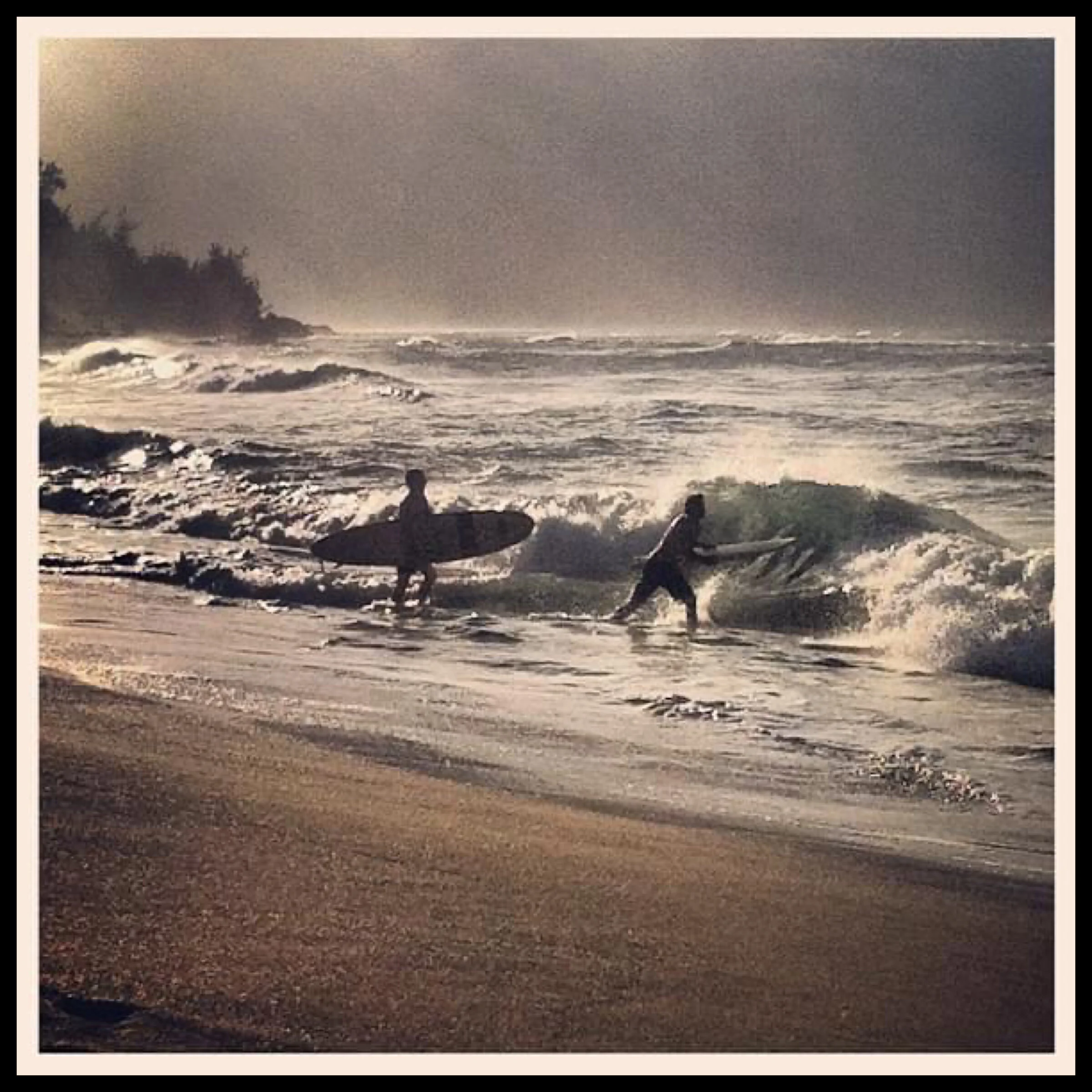 Hawaii Surf