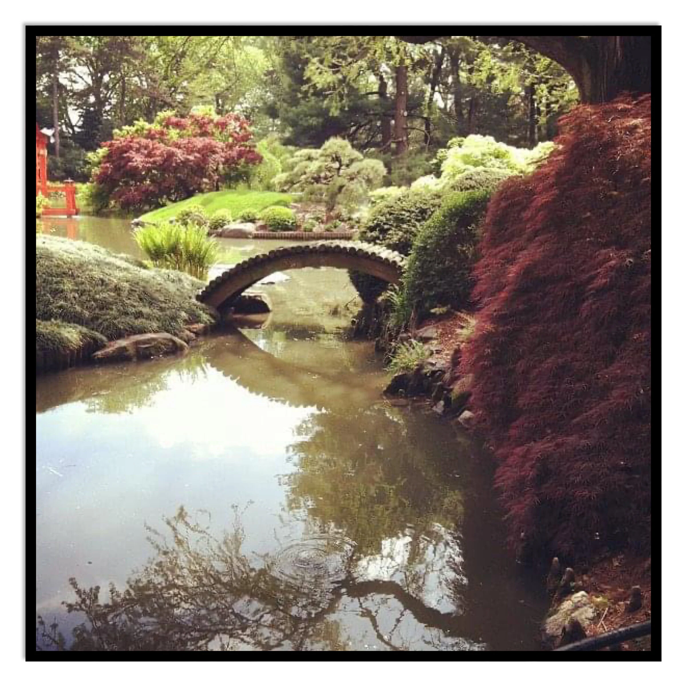 Botanical gardens (Brooklyn)