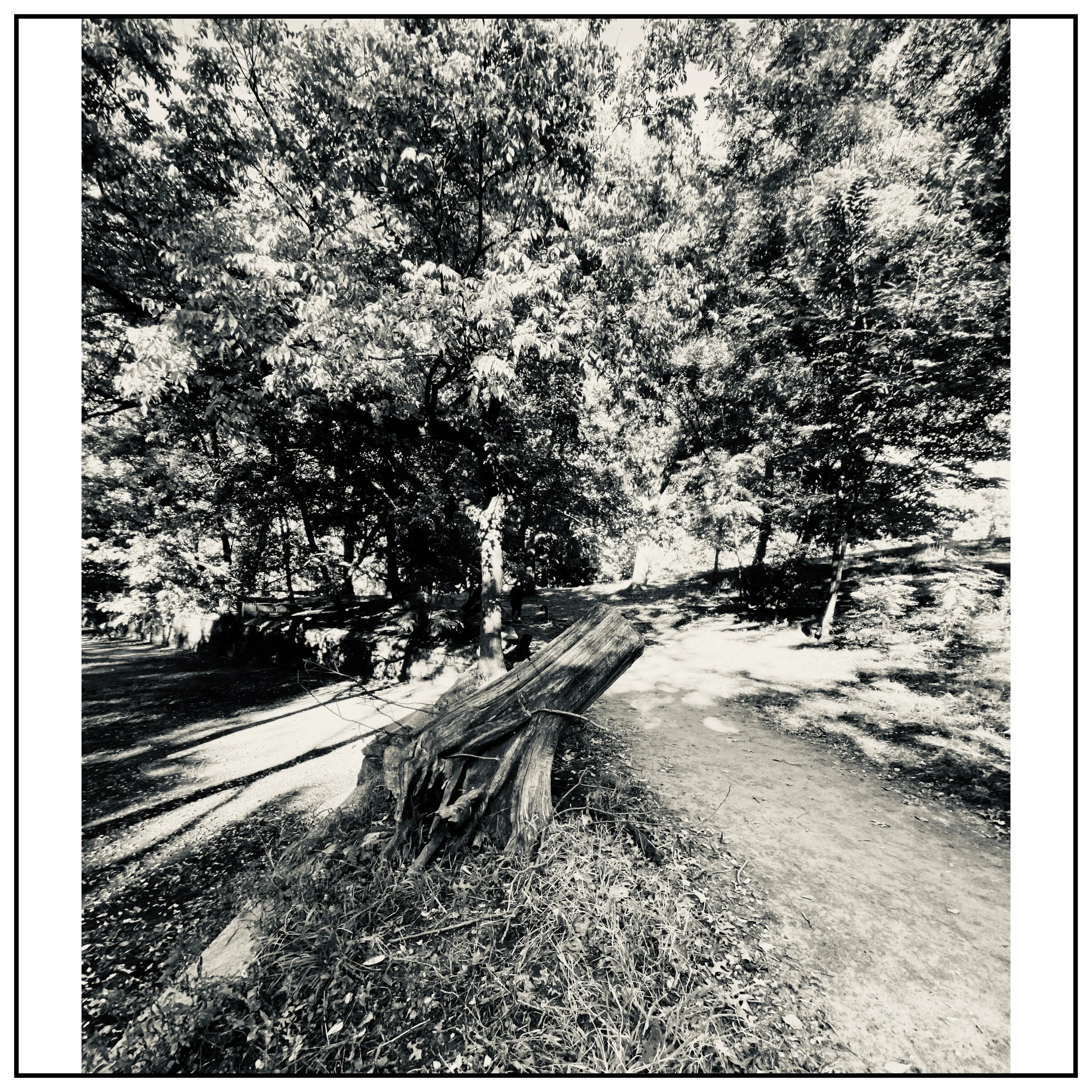 Fort Greene Park