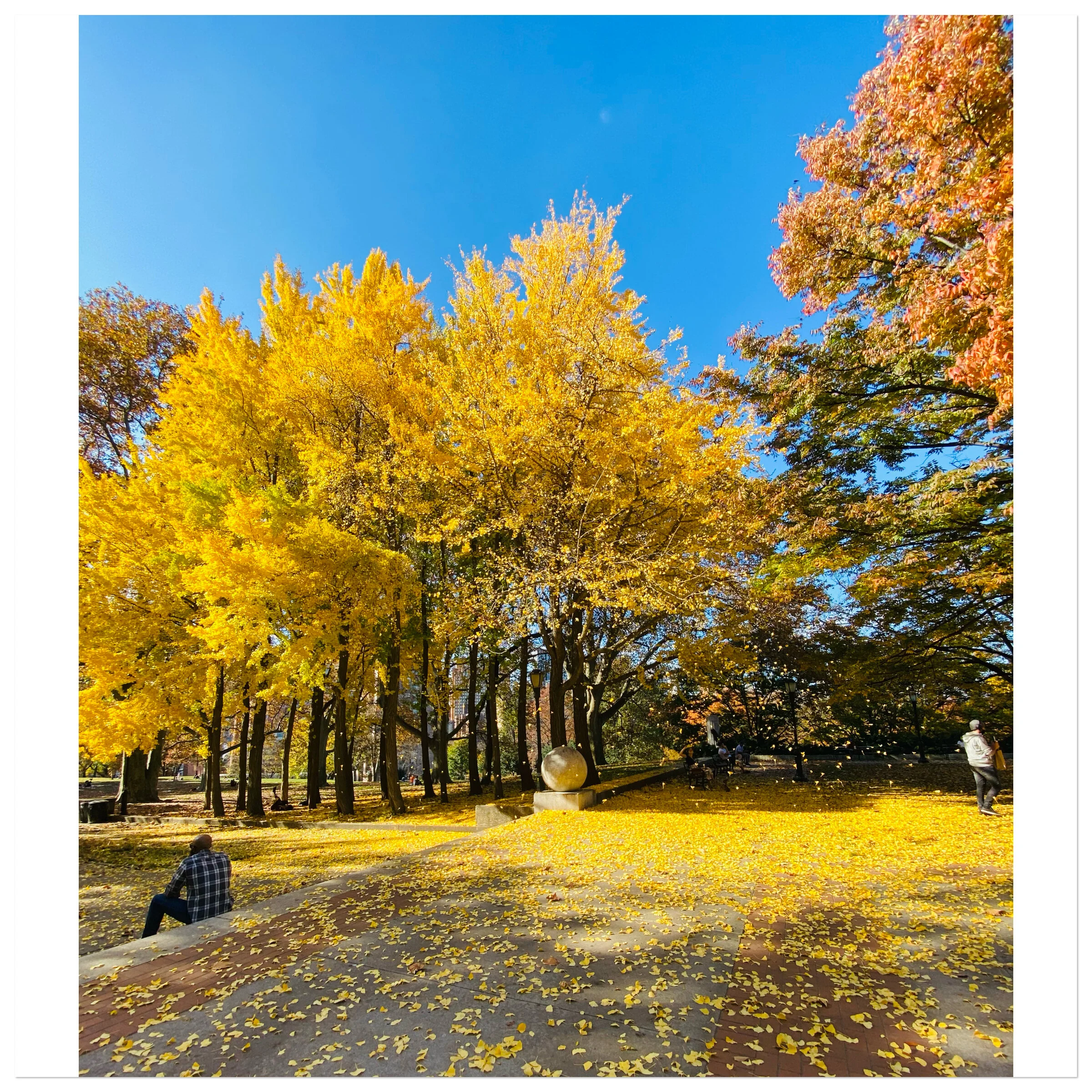 Autumn in Fort Greene Park