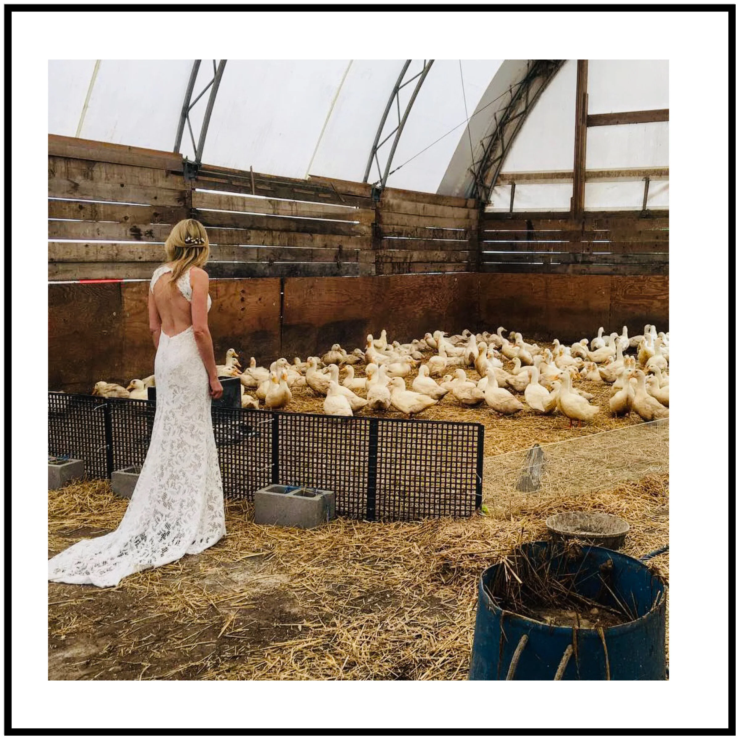 Blue Hill at Stone Barns