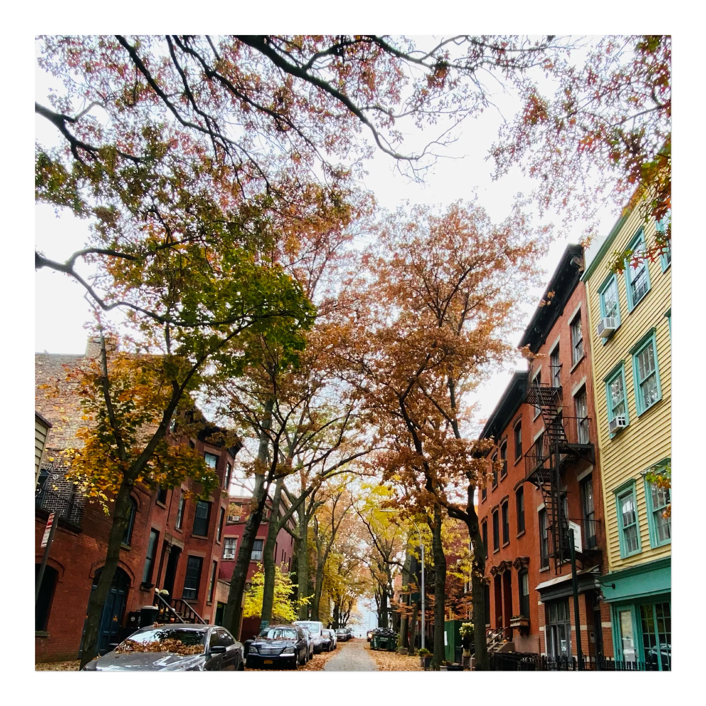 Brooklyn heights