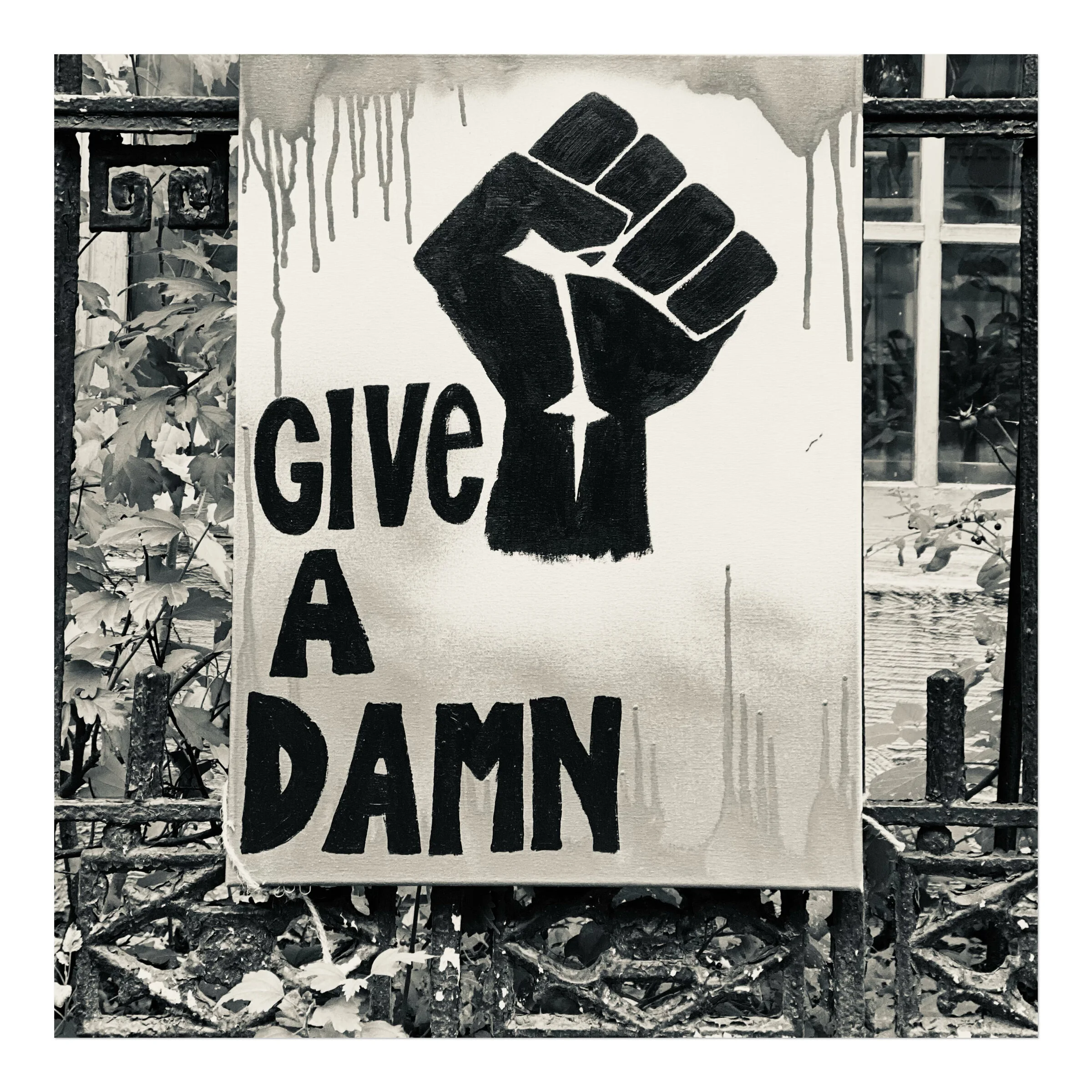 Give a Damn