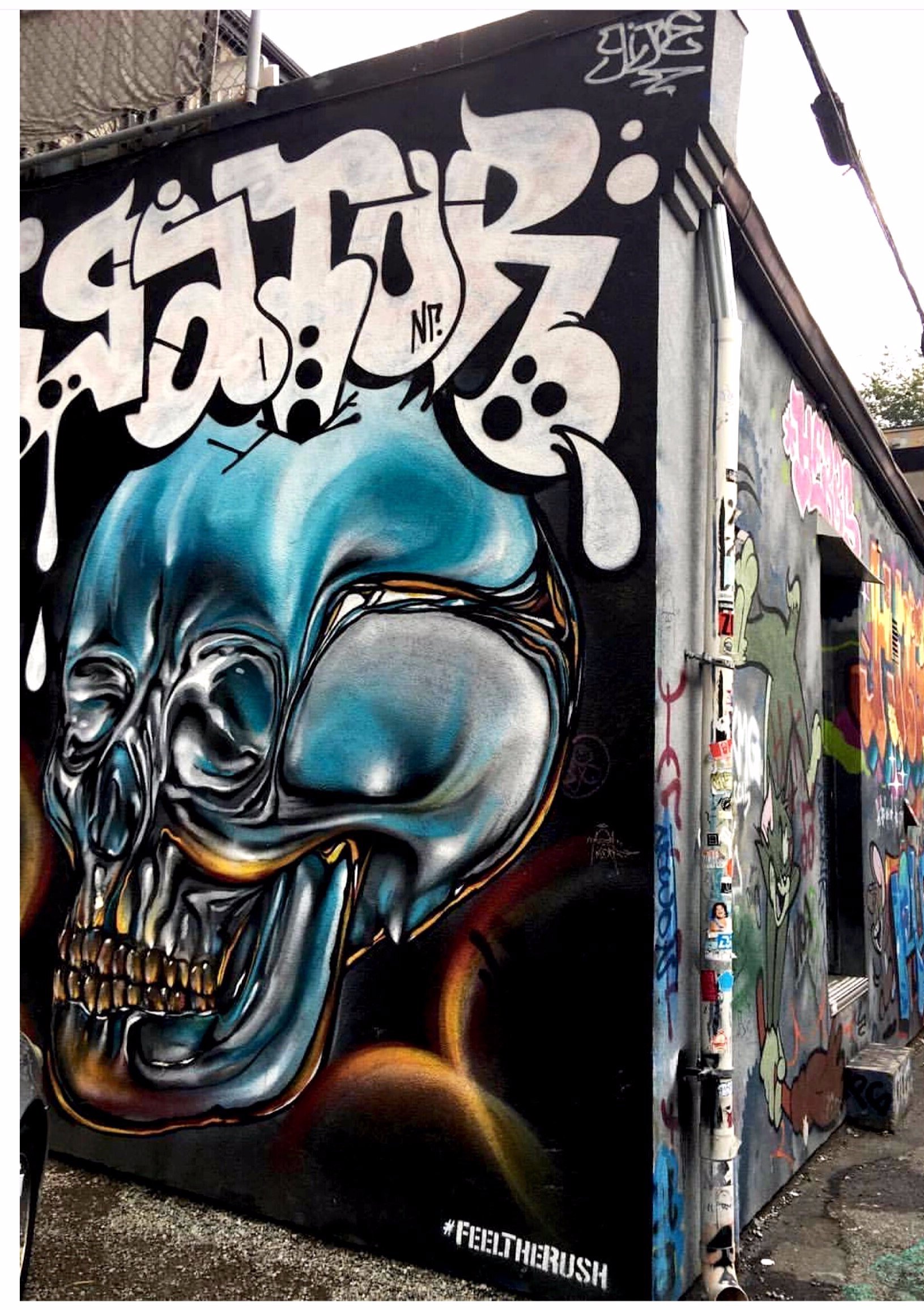 Toronto Street Art