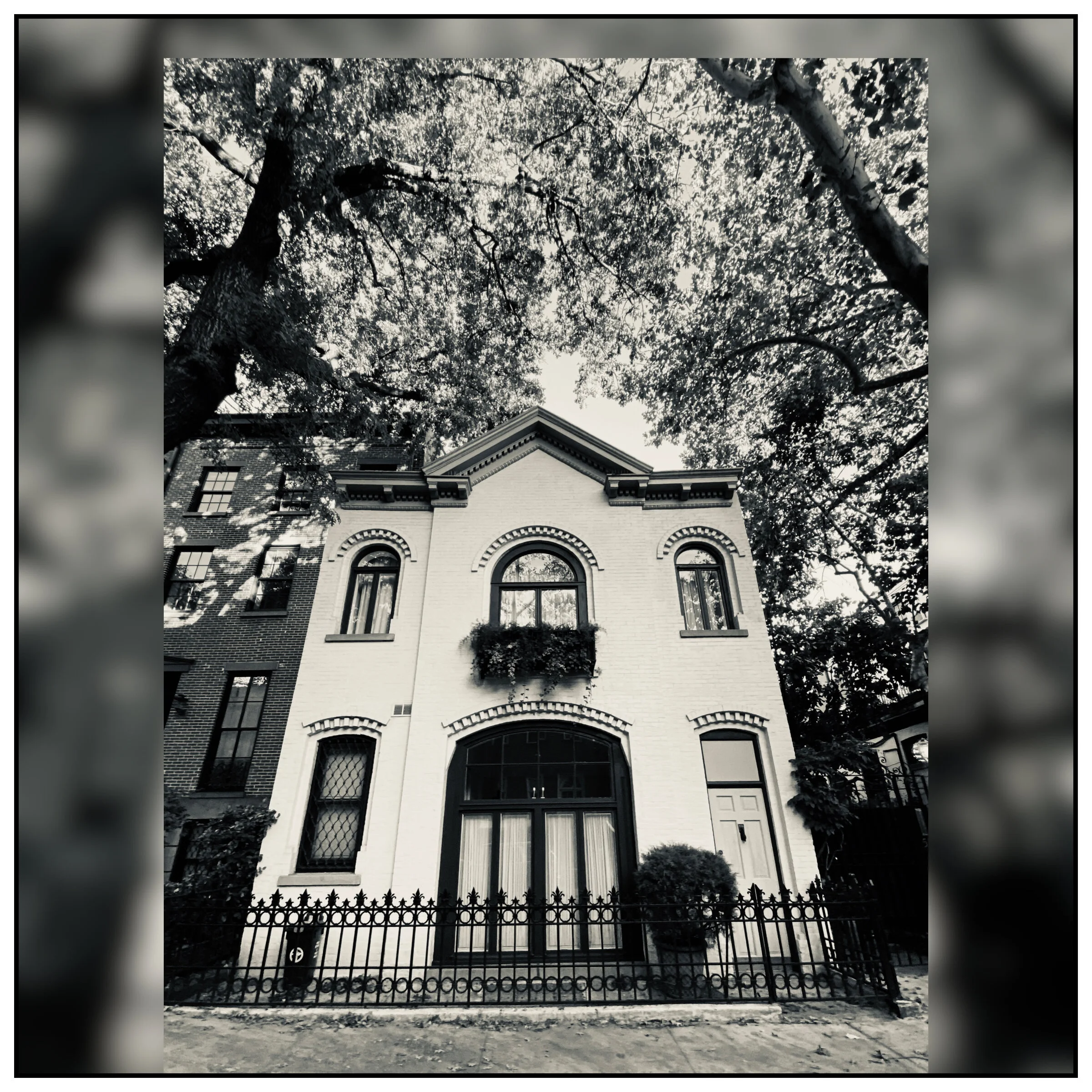 House out of Place (Brooklyn, NY0