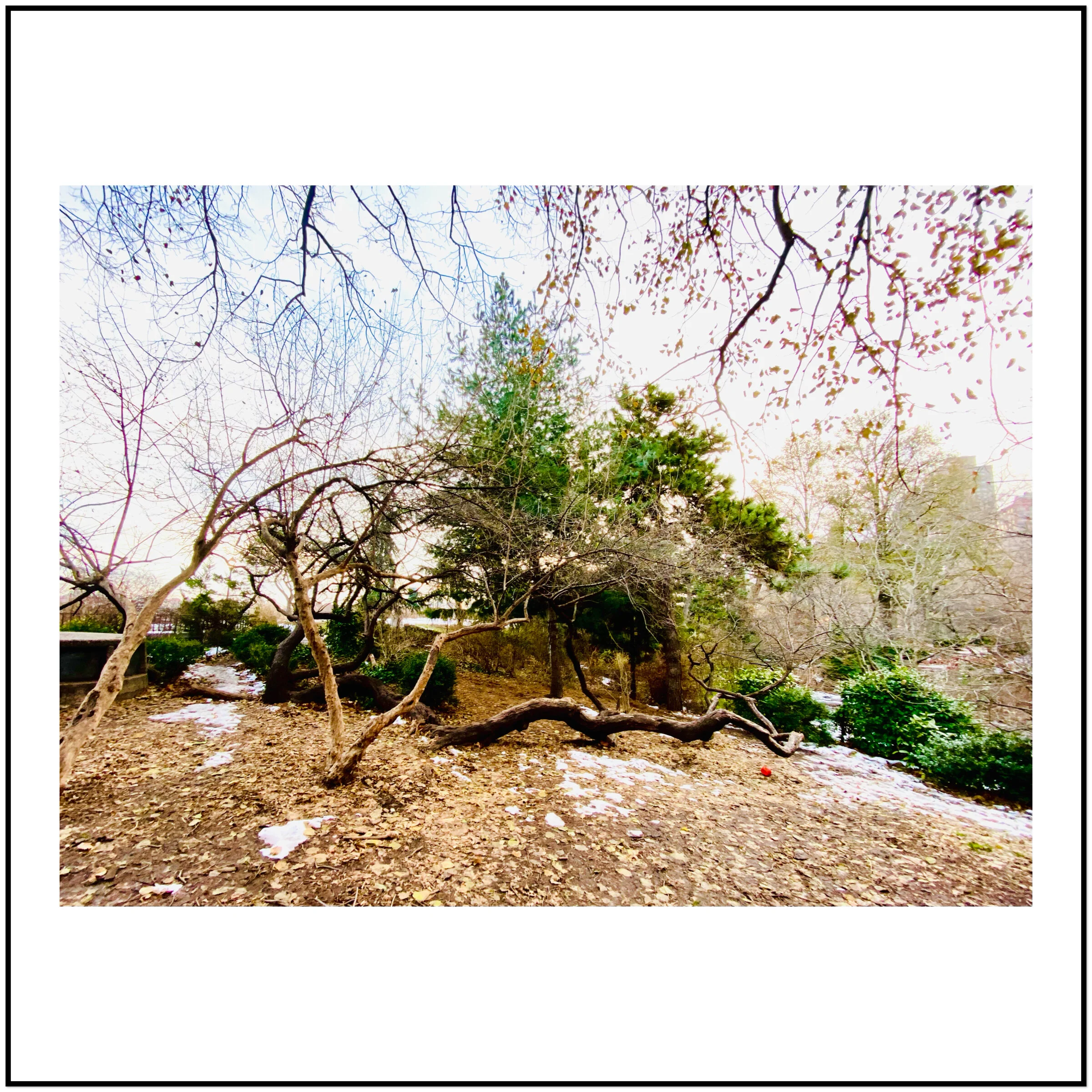 Carl Schurtz Park (Manhattan, NY)