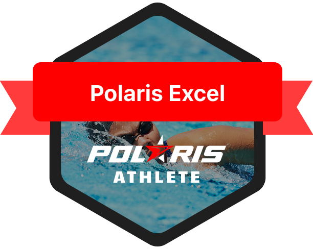 Polaris Excel