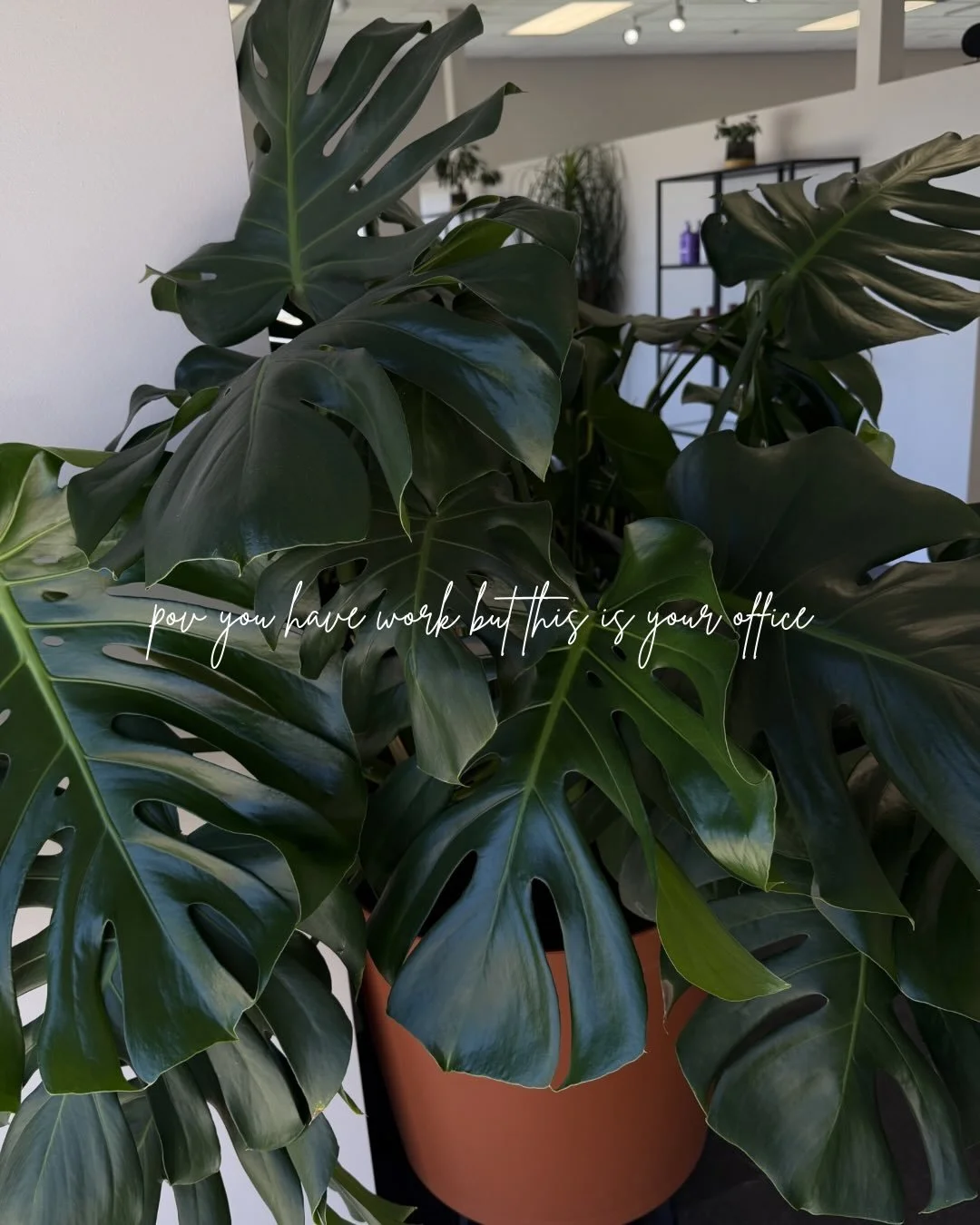 We love our office 🪴☀️
&bull;
&bull;
&bull;
&bull;
#ogdenhairstylist #westhavenhairstylist #blondehairtransformation #utahblondehair #utahhairinspo 

SEO: Self love &bull; Confidence-boosting hairstyle &bull; Hair that empowers &bull; Celebrating yo