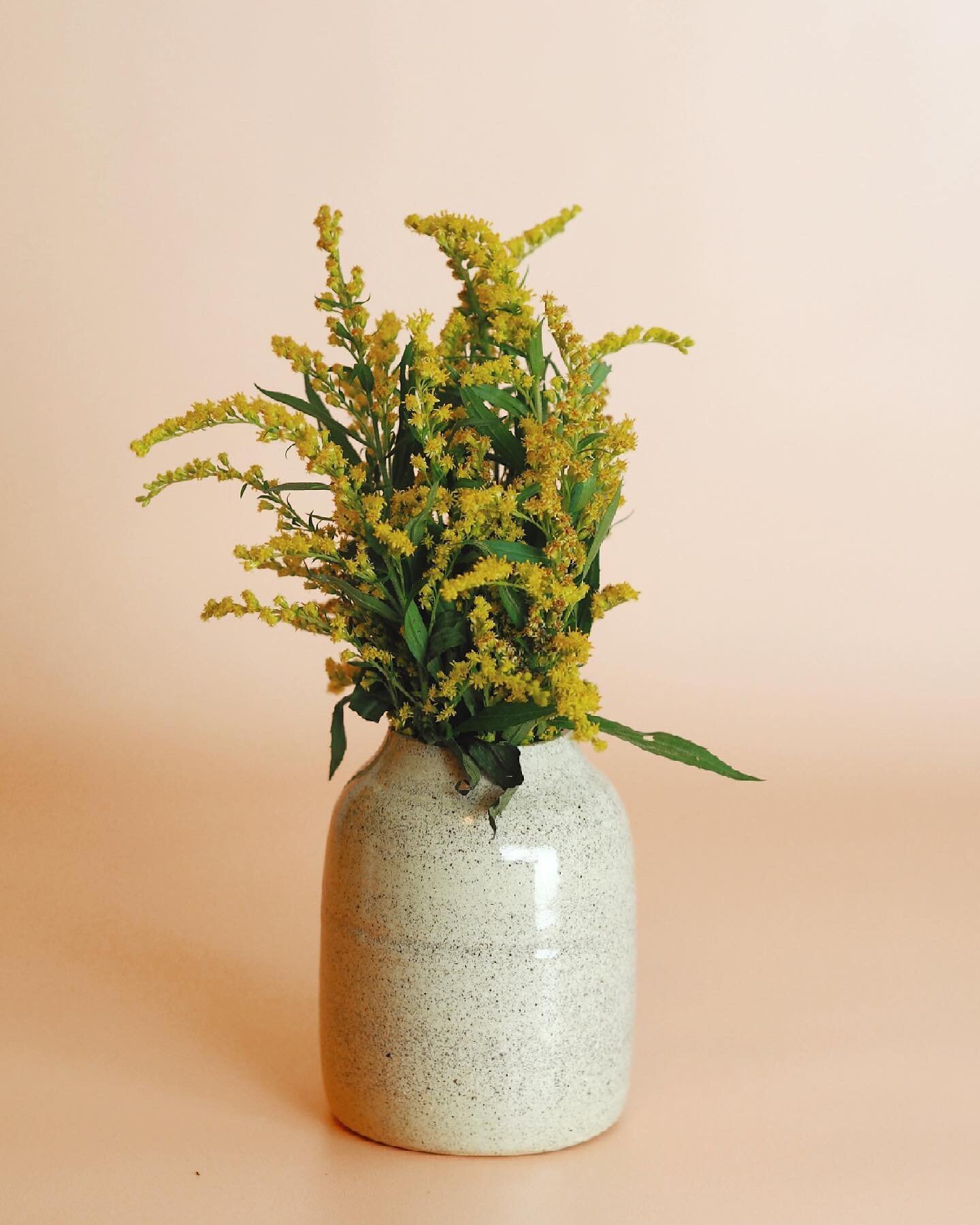 After spending the week hunched over, hand meticulously painting daisies onto the next batch of hug mugs, I&rsquo;m grateful that this range of simple &amp; understated vases are still as popular as ever.