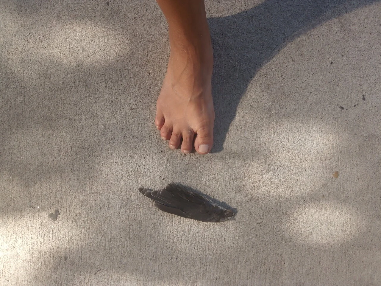 Feather Foot