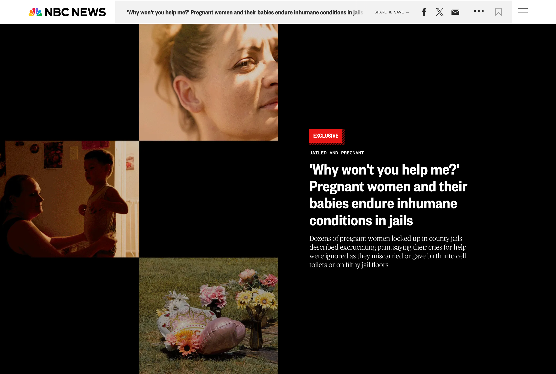 Photos by Annie Flanagan