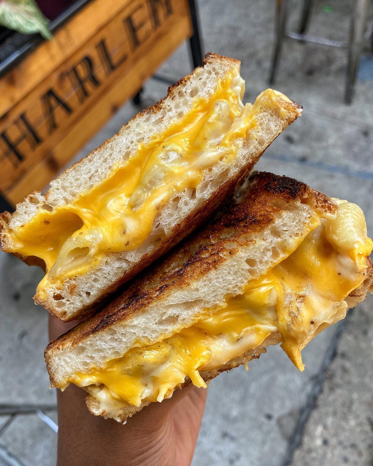 The HP GRILLED CHEESE with Cheddar &amp; Mac n&rsquo; Steez on Sourdough. 🔥 Seems like the right move today. #ATTHEWALLACE