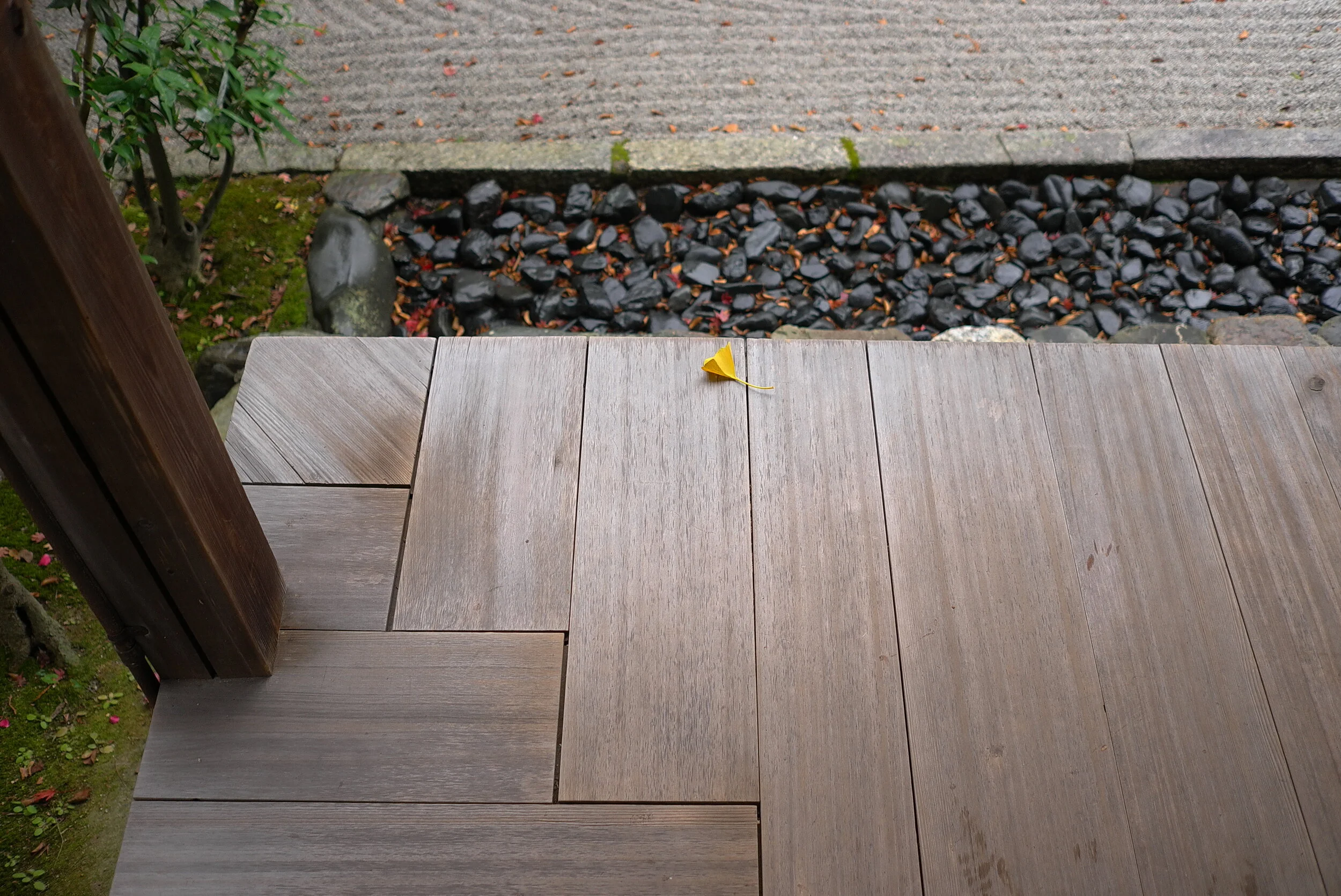 Daishin In Myoshinji 吾唯足知