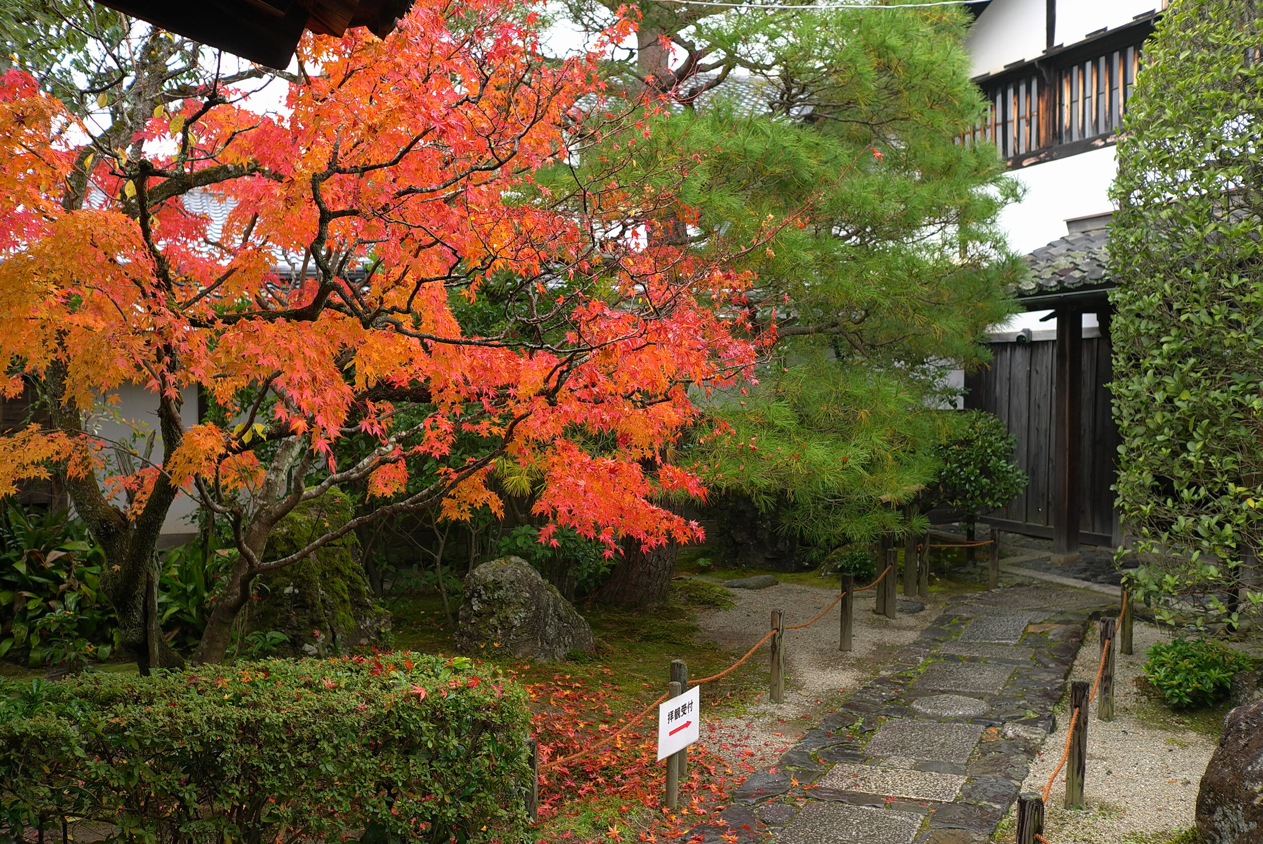 Keishun In Myōshinji Kyoto 吾唯足知