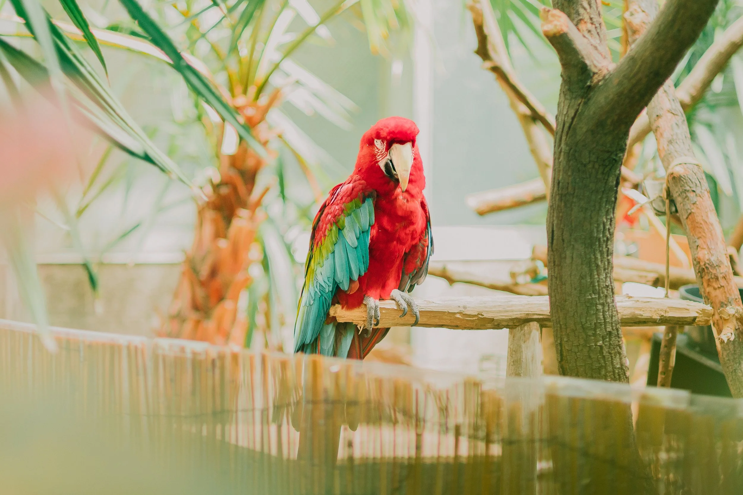 Detroit Zoo-17.jpg