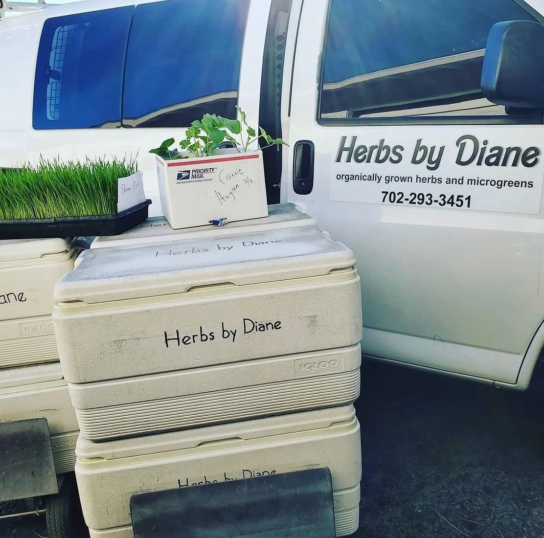 Early morning produce drops by @herbsbydiane is a favorite part of our Sunday markets! 🌿 

@herbsbydiane is a local farmer growing in Boulder City, NV. Everything is organically grown and picked fresh for our markets 🌼🌸

Find her fresh &amp; dried