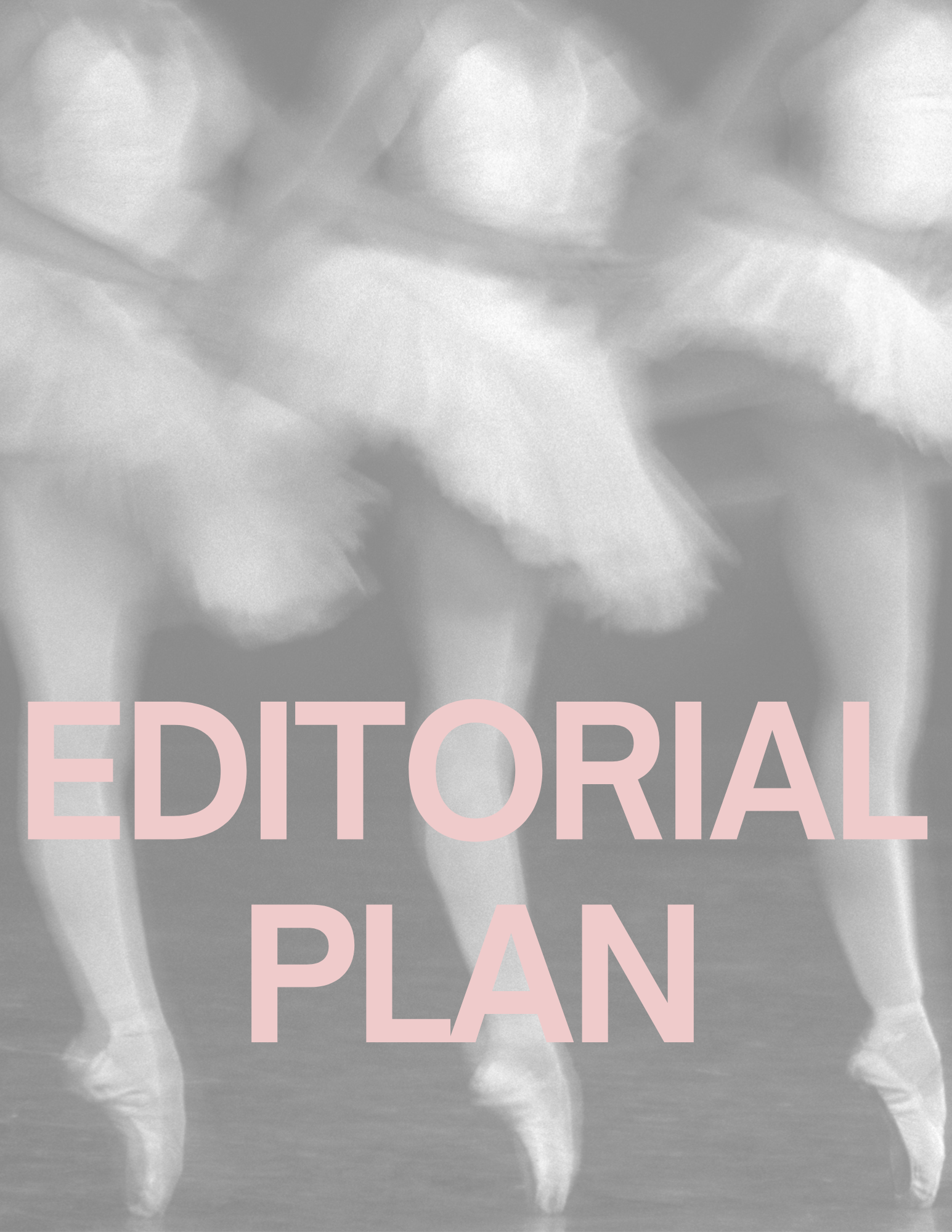 Editorial Plan